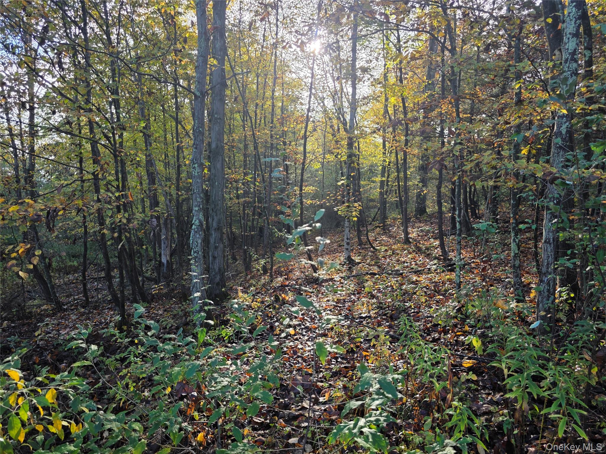 6 Durham Woods Road, Durham, NY 12422