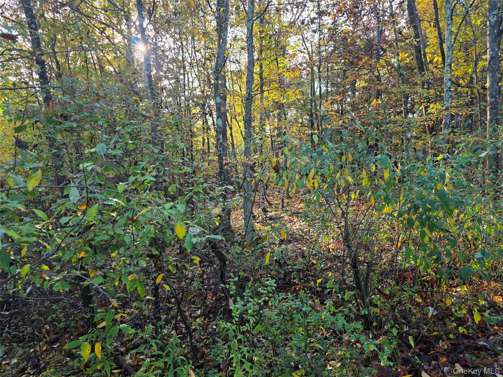 6 Durham Woods Road, Durham, NY 12422