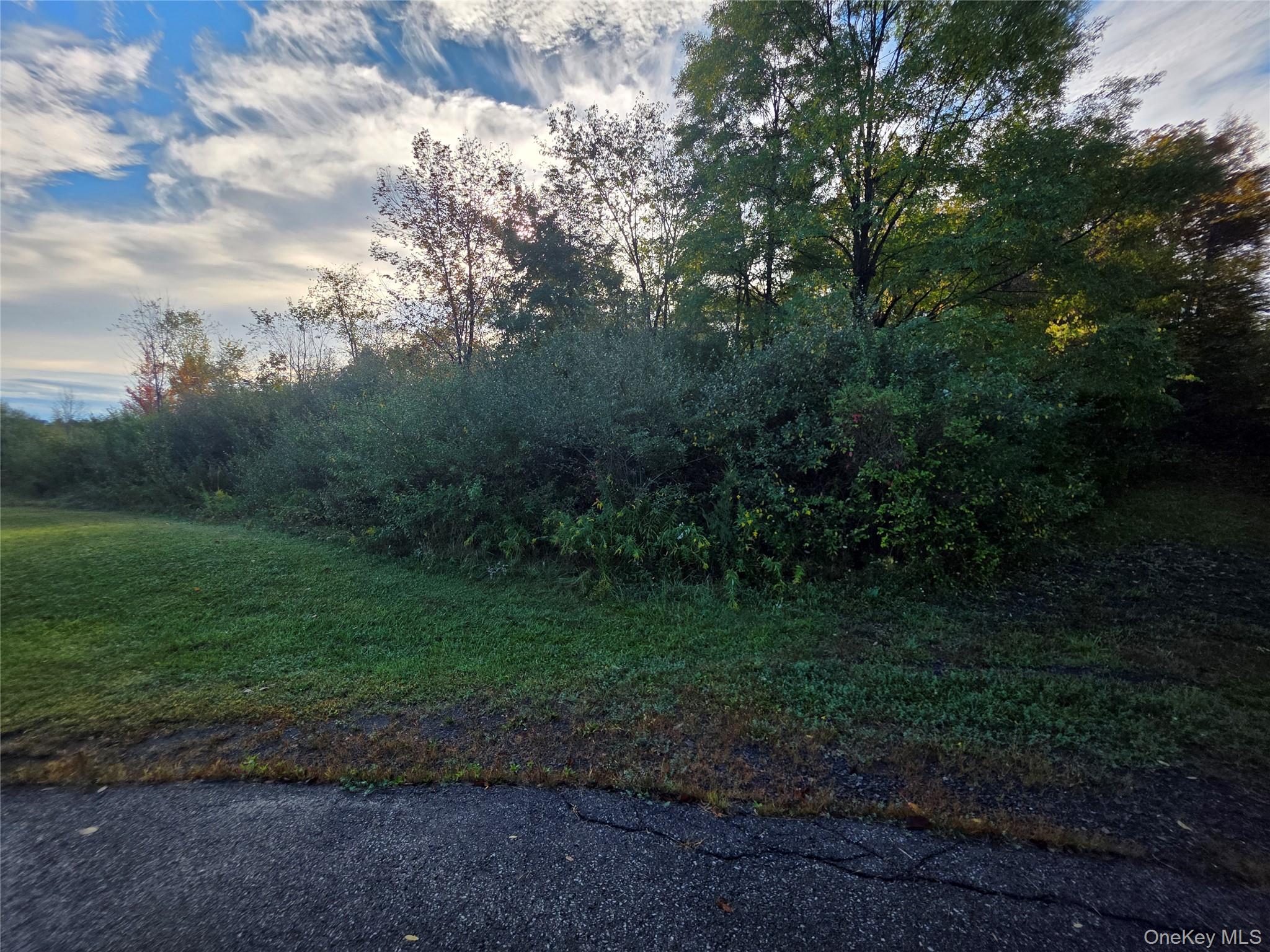 6 Durham Woods Road, Durham, NY 12422