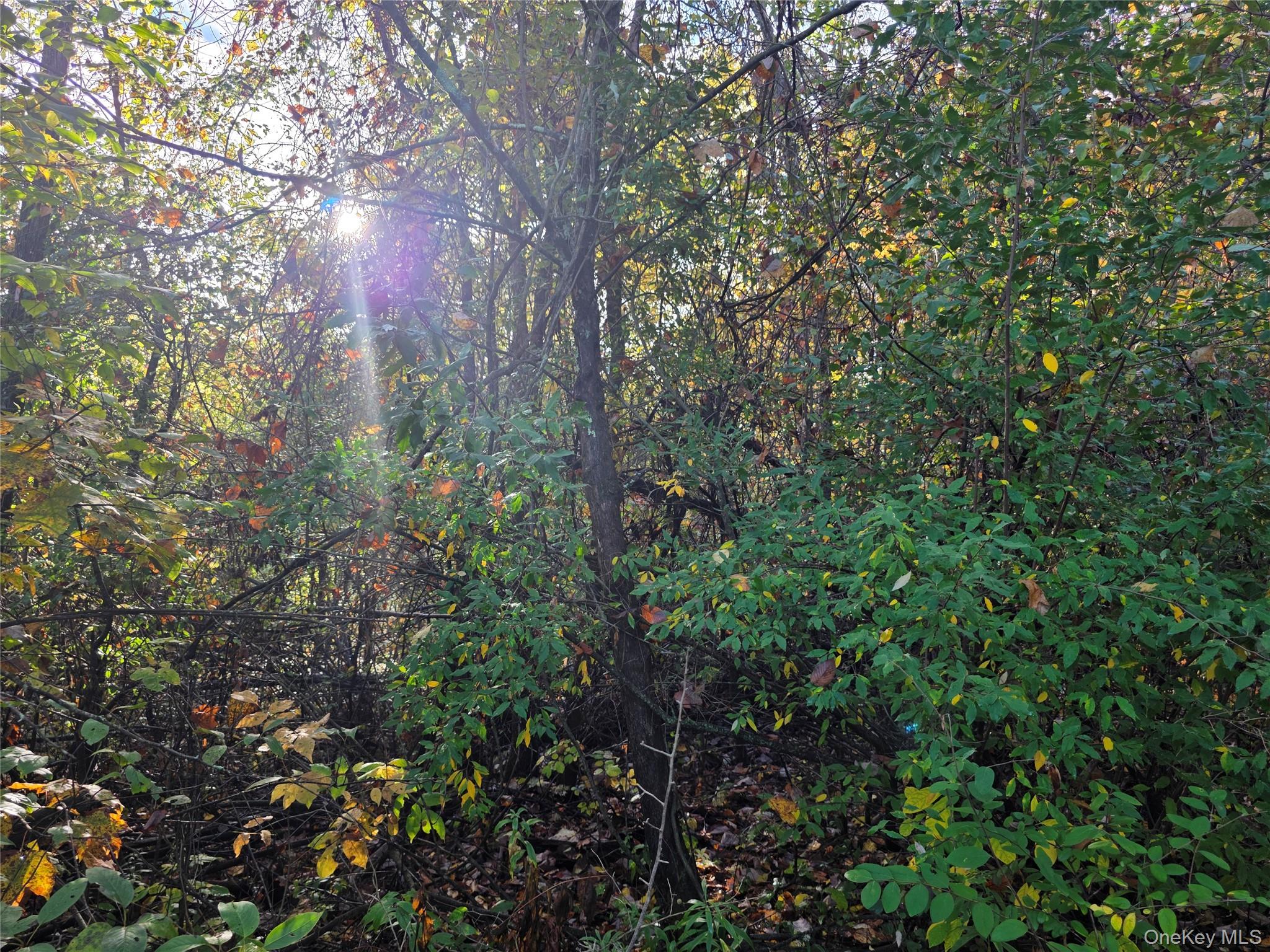 6 Durham Woods Road, Durham, NY 12422