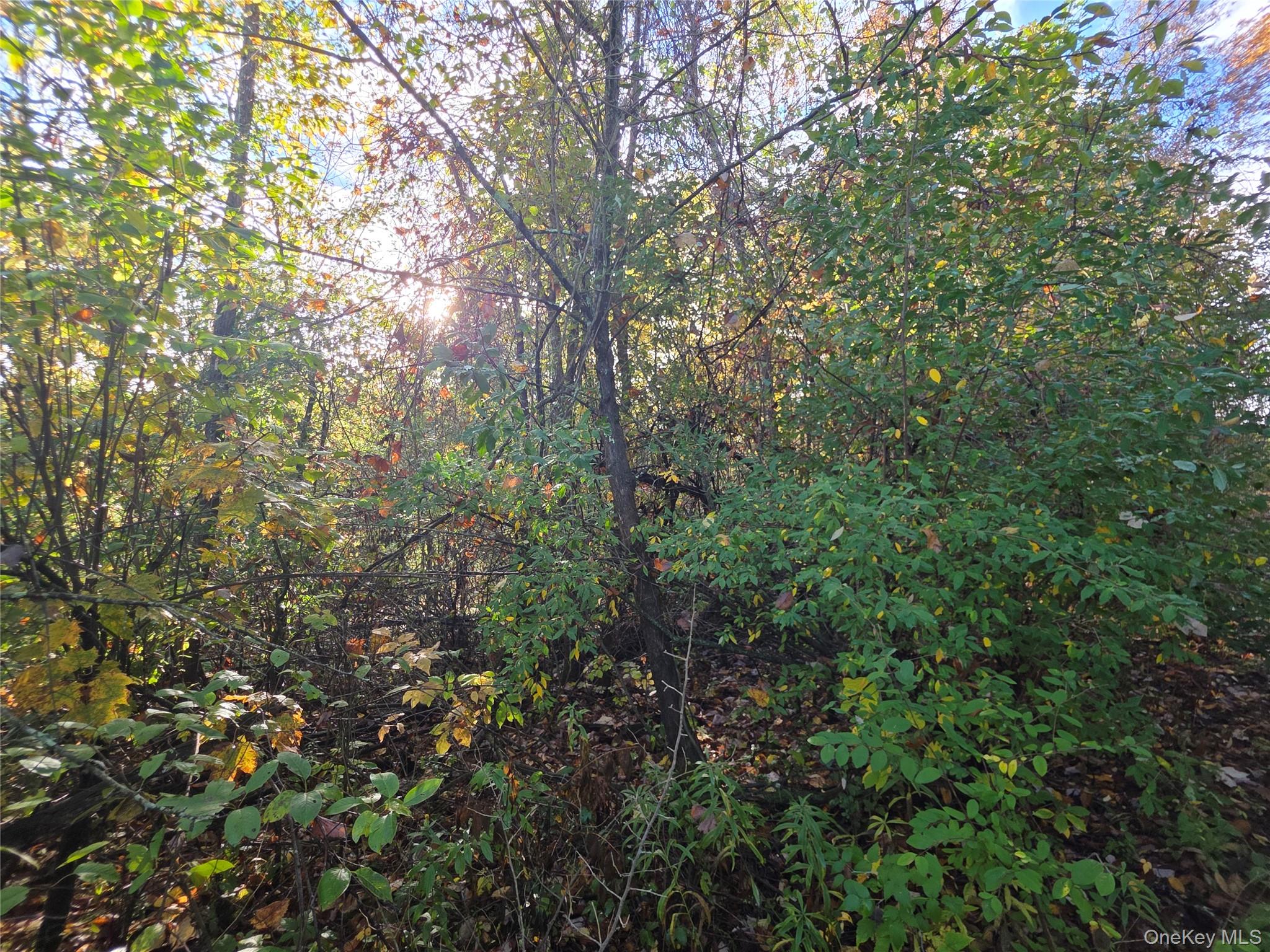 6 Durham Woods Road, Durham, NY 12422