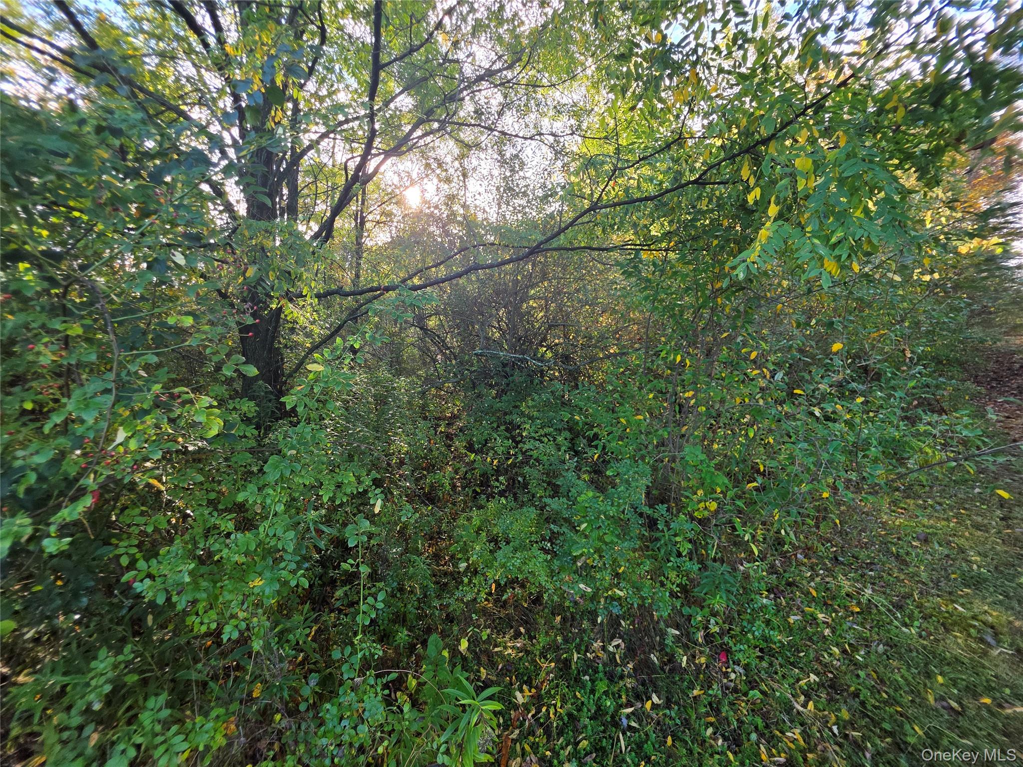 6 Durham Woods Road, Durham, NY 12422