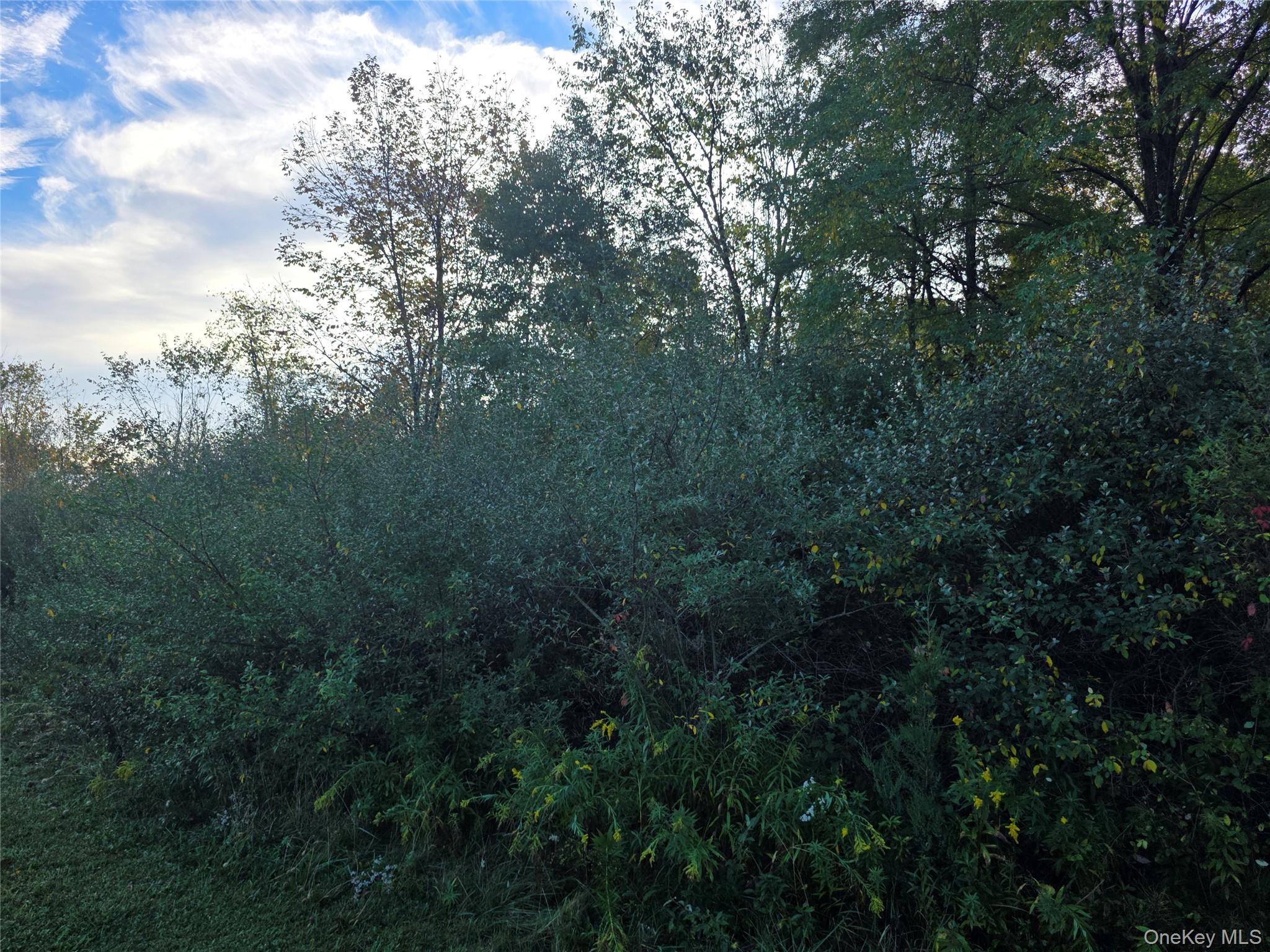 6 Durham Woods Road, Durham, NY 12422