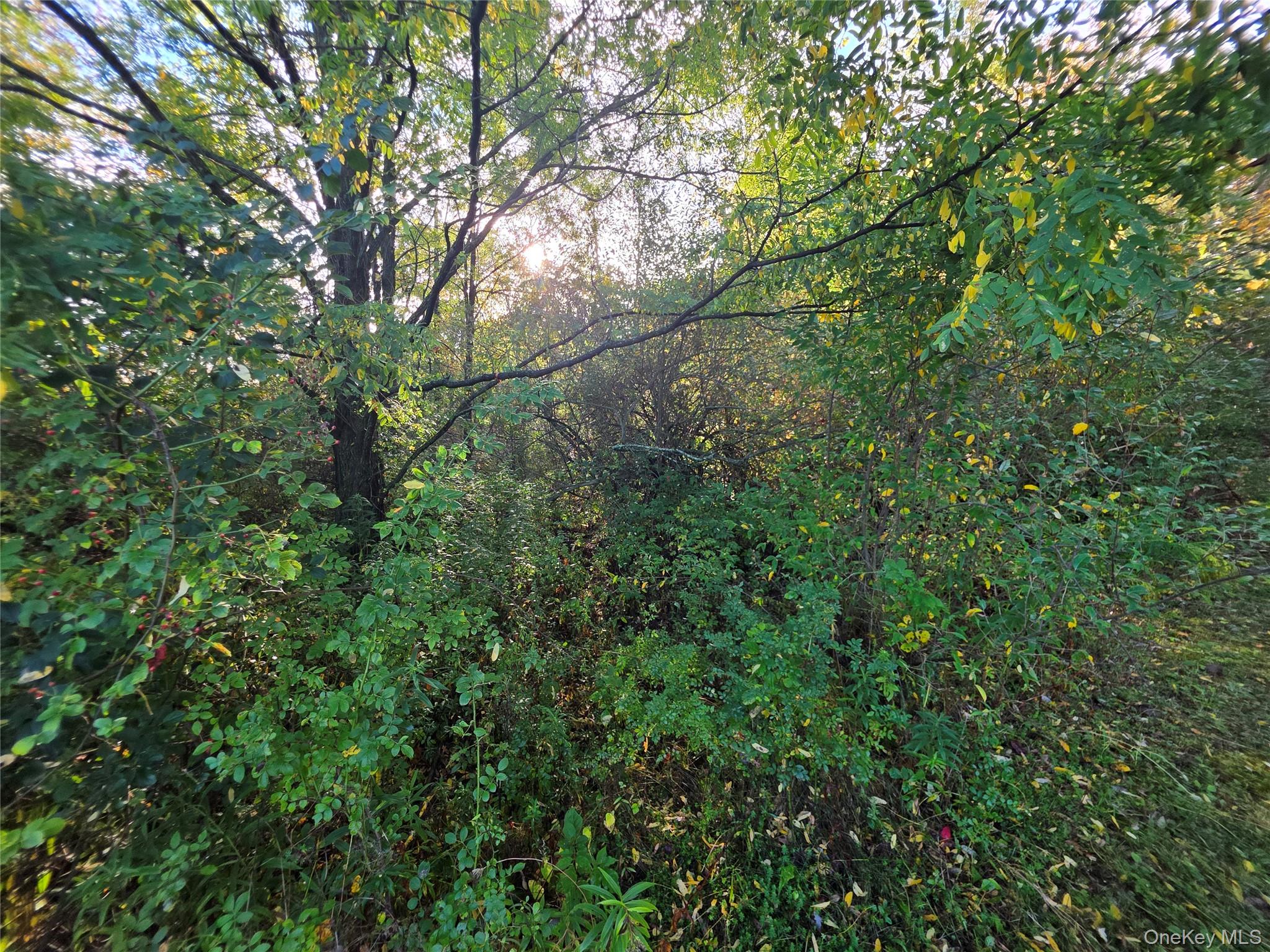 6 Durham Woods Road, Durham, NY 12422