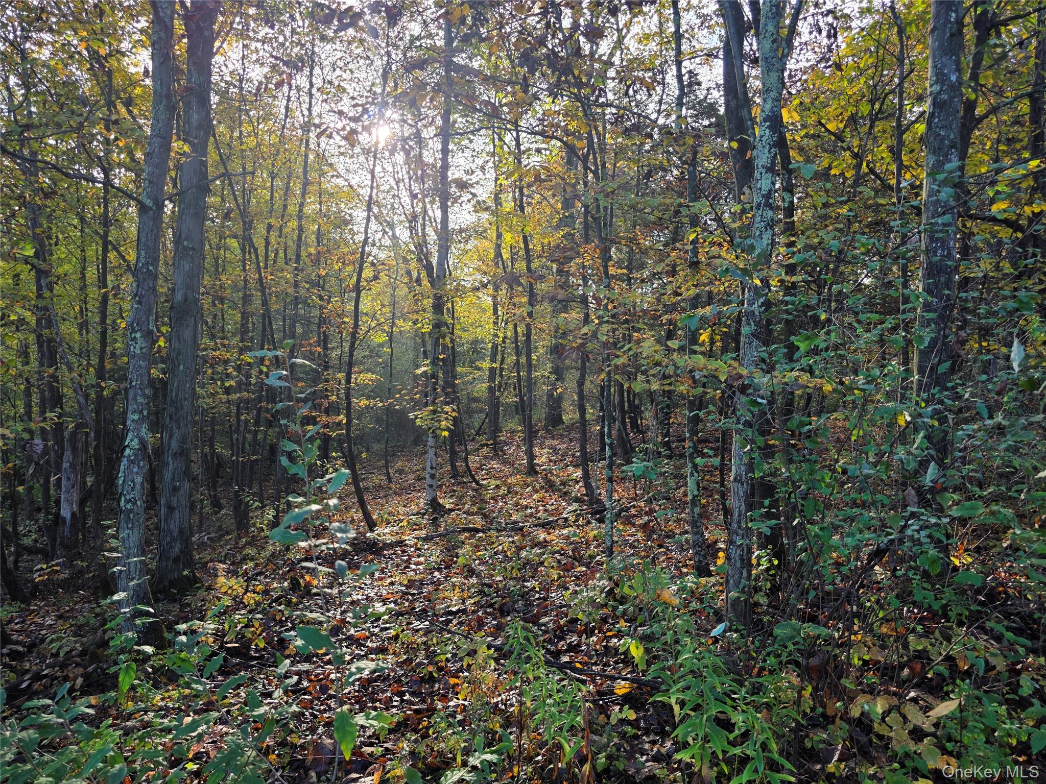 6 Durham Woods Road, Durham, NY 12422