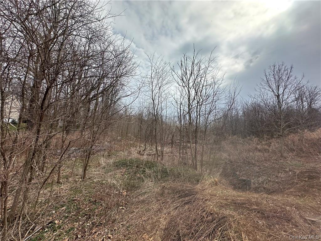 Lot 39 Roundhill Road, Hopewell Junction, NY 12533