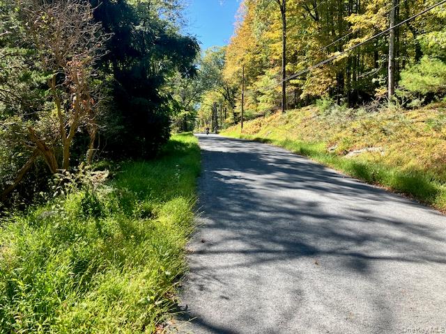 351 Red Hill Road, Wurtsboro, NY 12790