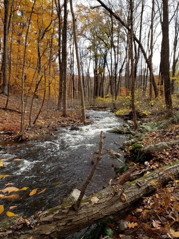 15 Nelson Road, Monroe, NY 10950