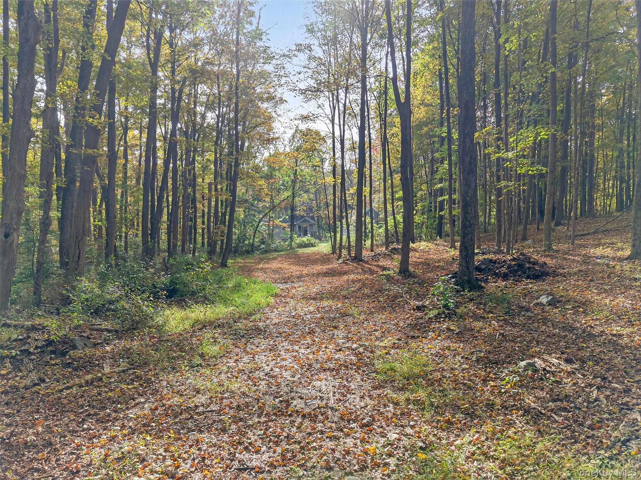 15 Nelson Road, Monroe, NY 10950