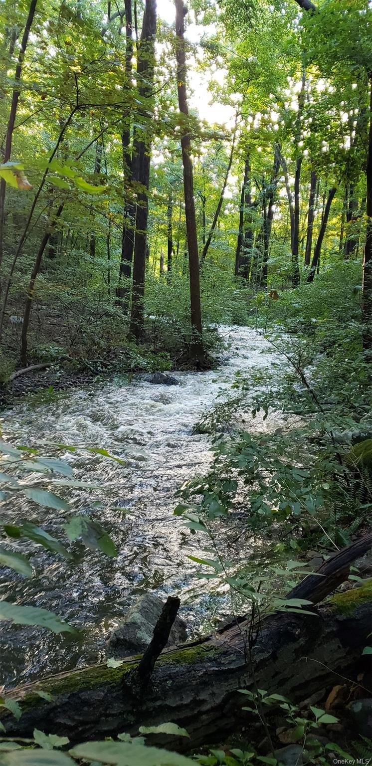 15 Nelson Road, Monroe, NY 10950