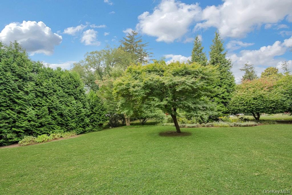 123 Altamont Avenue, Tarrytown, NY 10591