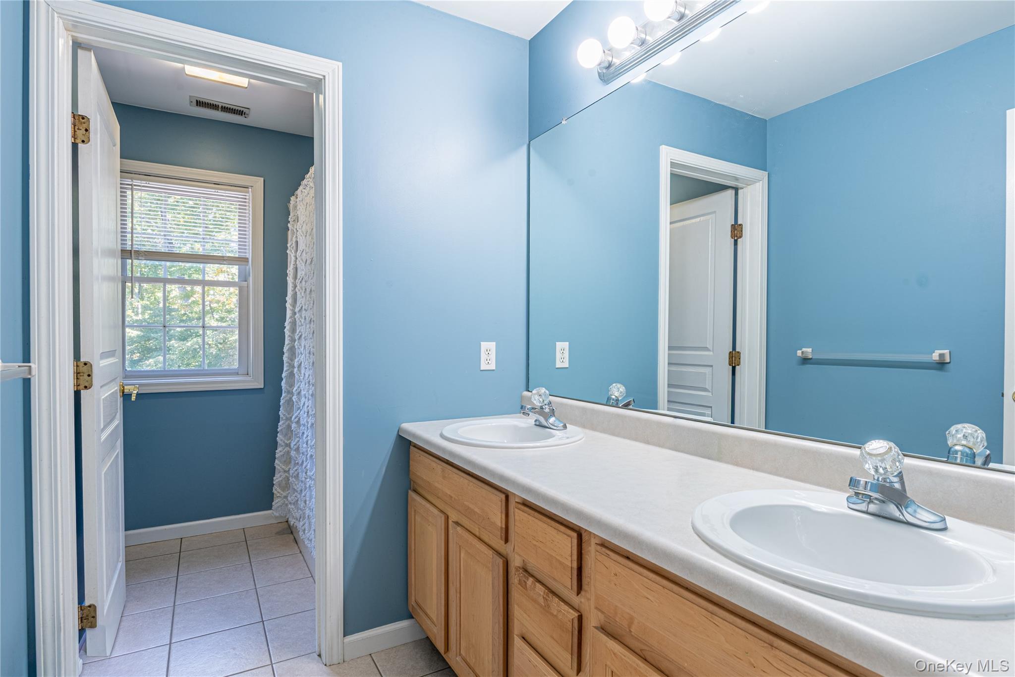 16 Avalon Court, Hopewell Junction, NY 12533