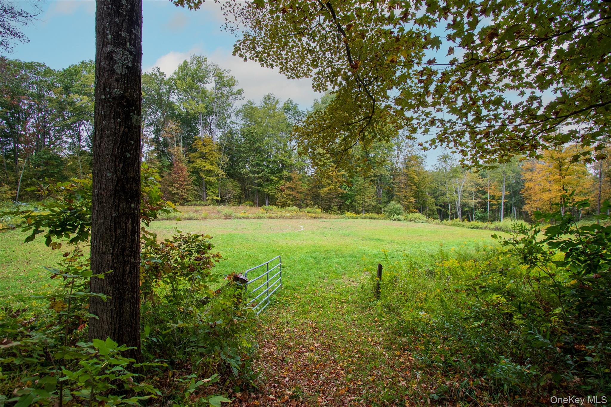 929 Centre Road, Rhinebeck, NY 12580