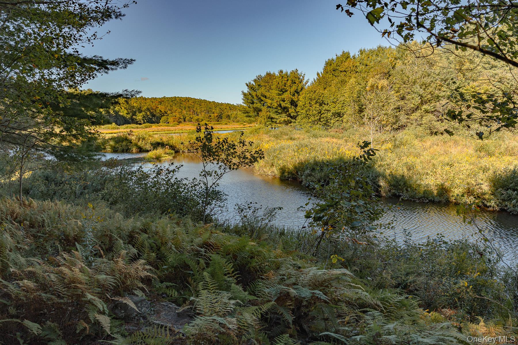 506 Lake Shore Lane, Narrowsburg, NY 12764