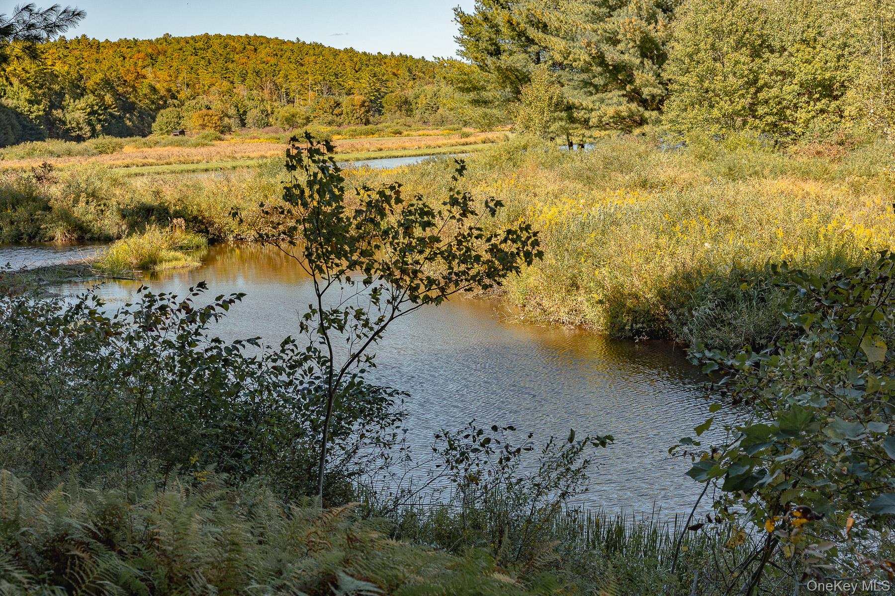 506 Lake Shore Lane, Narrowsburg, NY 12764