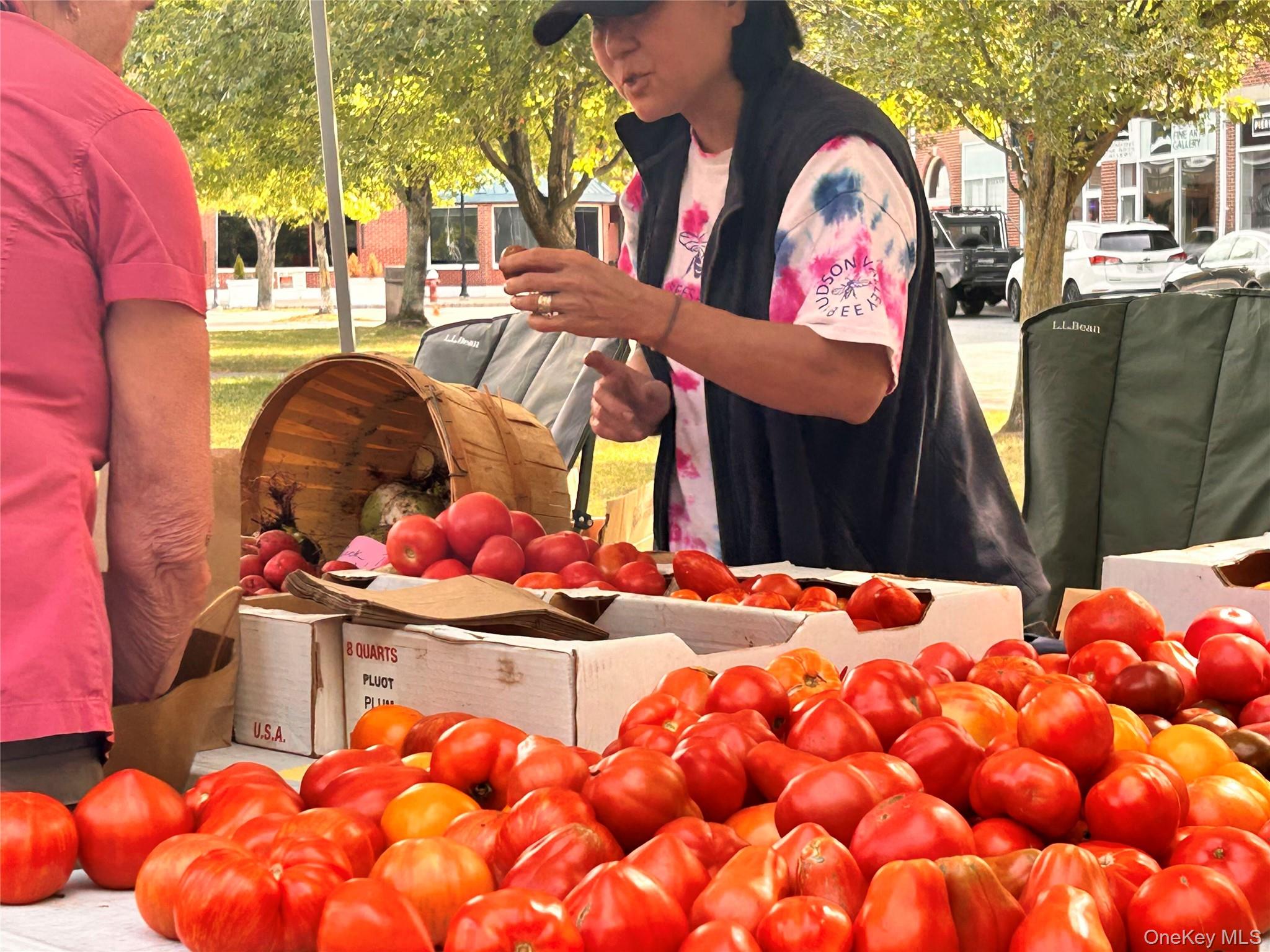 549 Piermont Avenue, Piermont, NY 10968