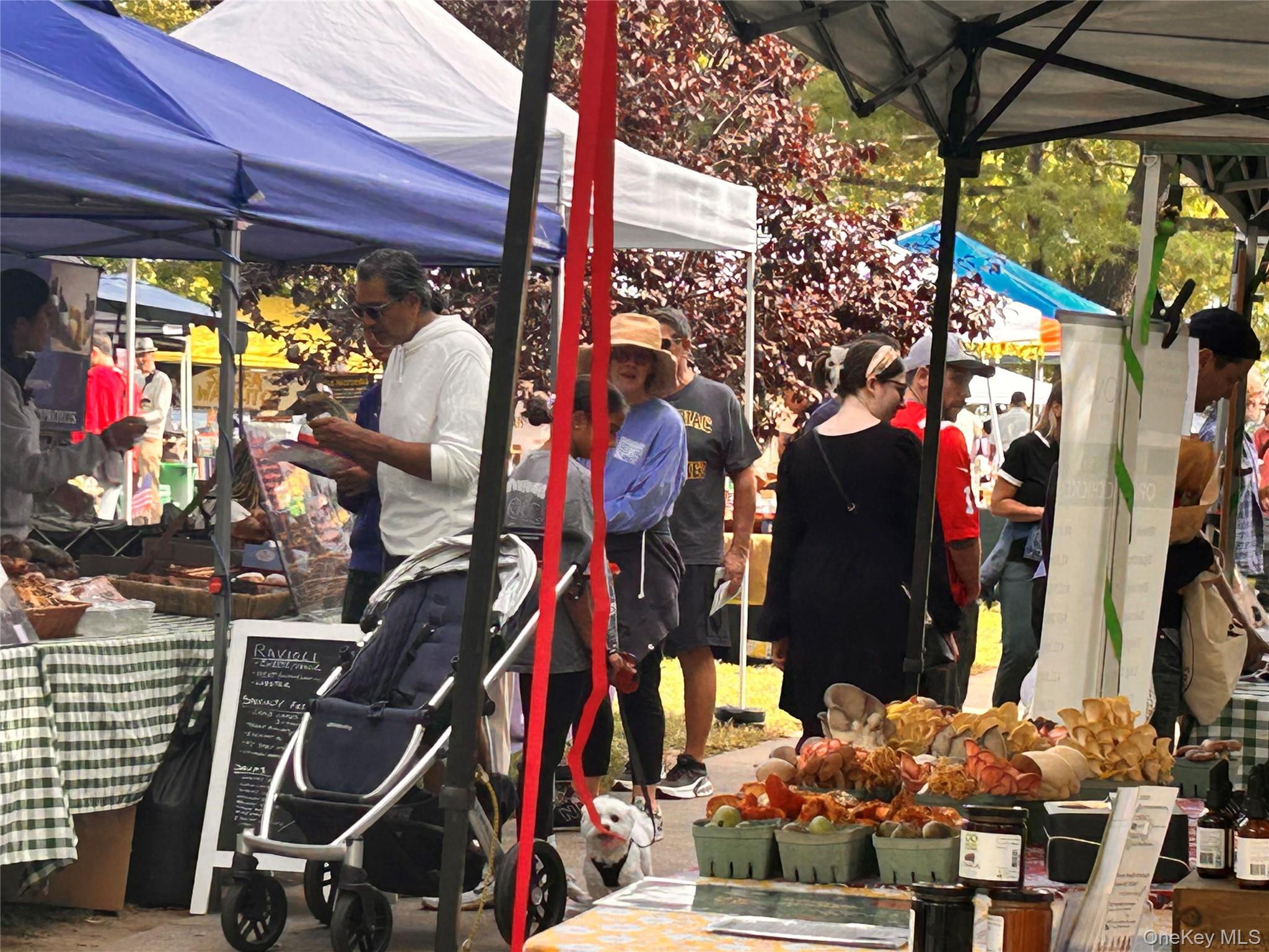 549 Piermont Avenue, Piermont, NY 10968