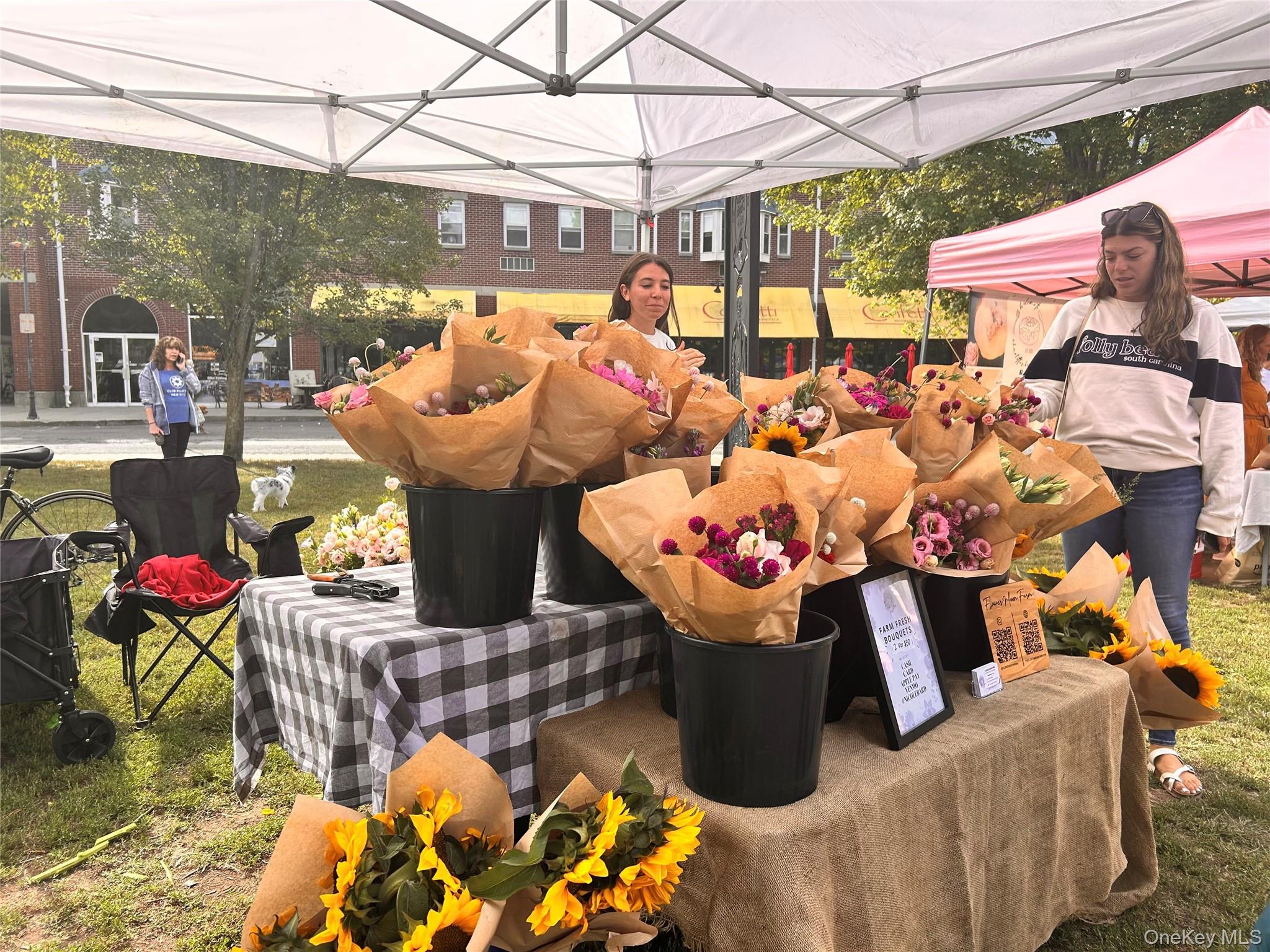 549 Piermont Avenue, Piermont, NY 10968