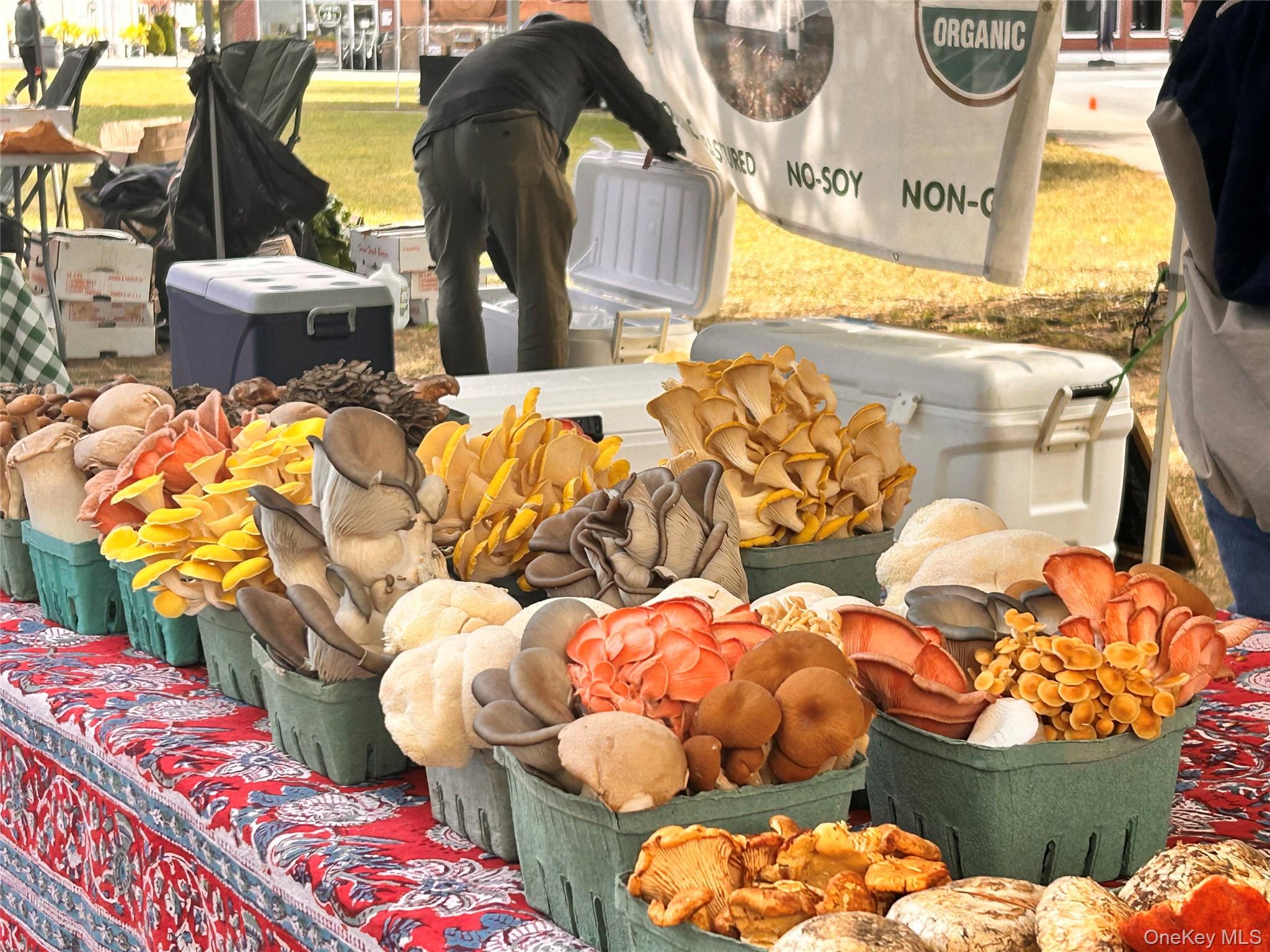 549 Piermont Avenue, Piermont, NY 10968