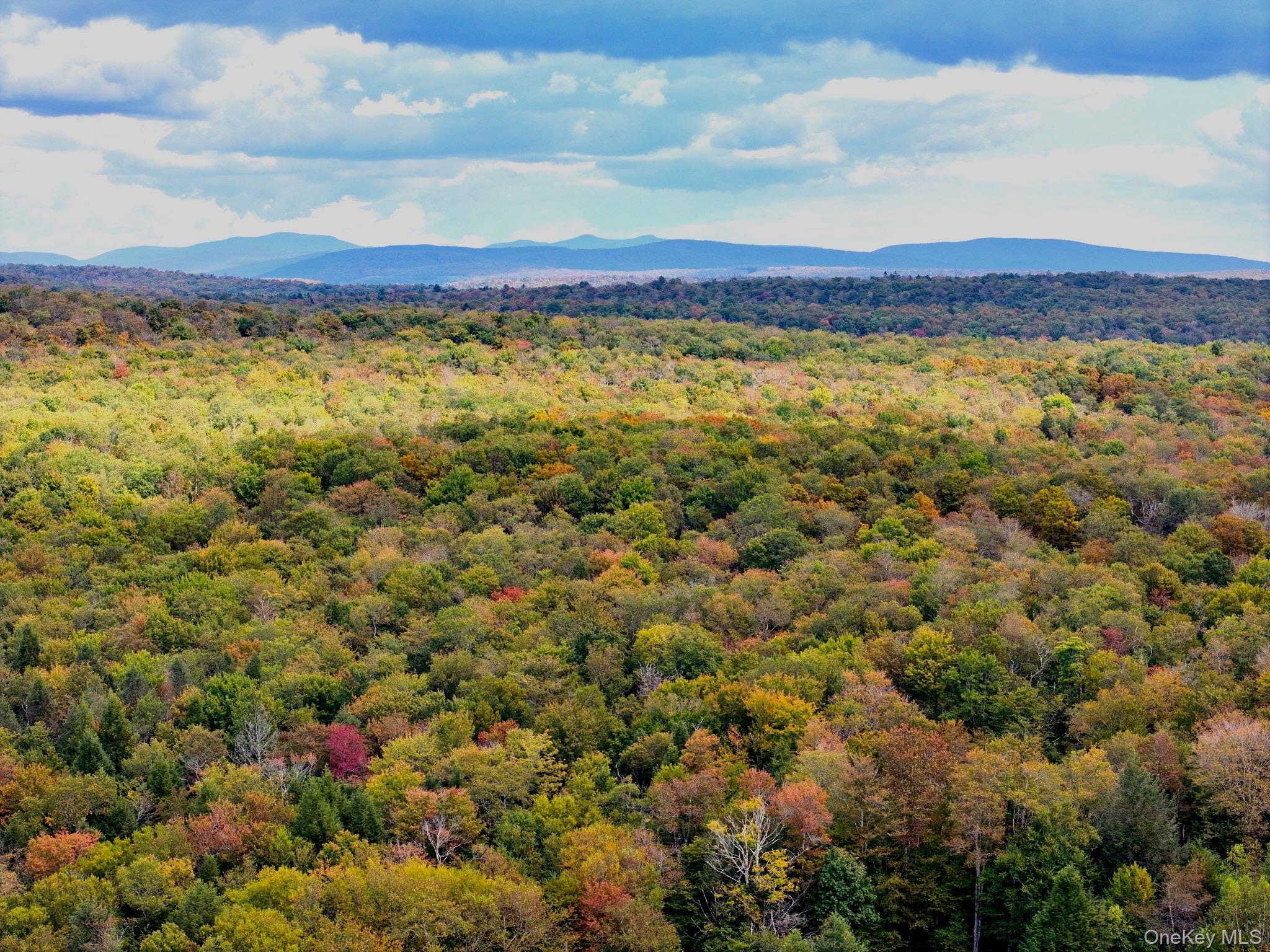 480 Breezy Hill Road, Middletown, NY 12768