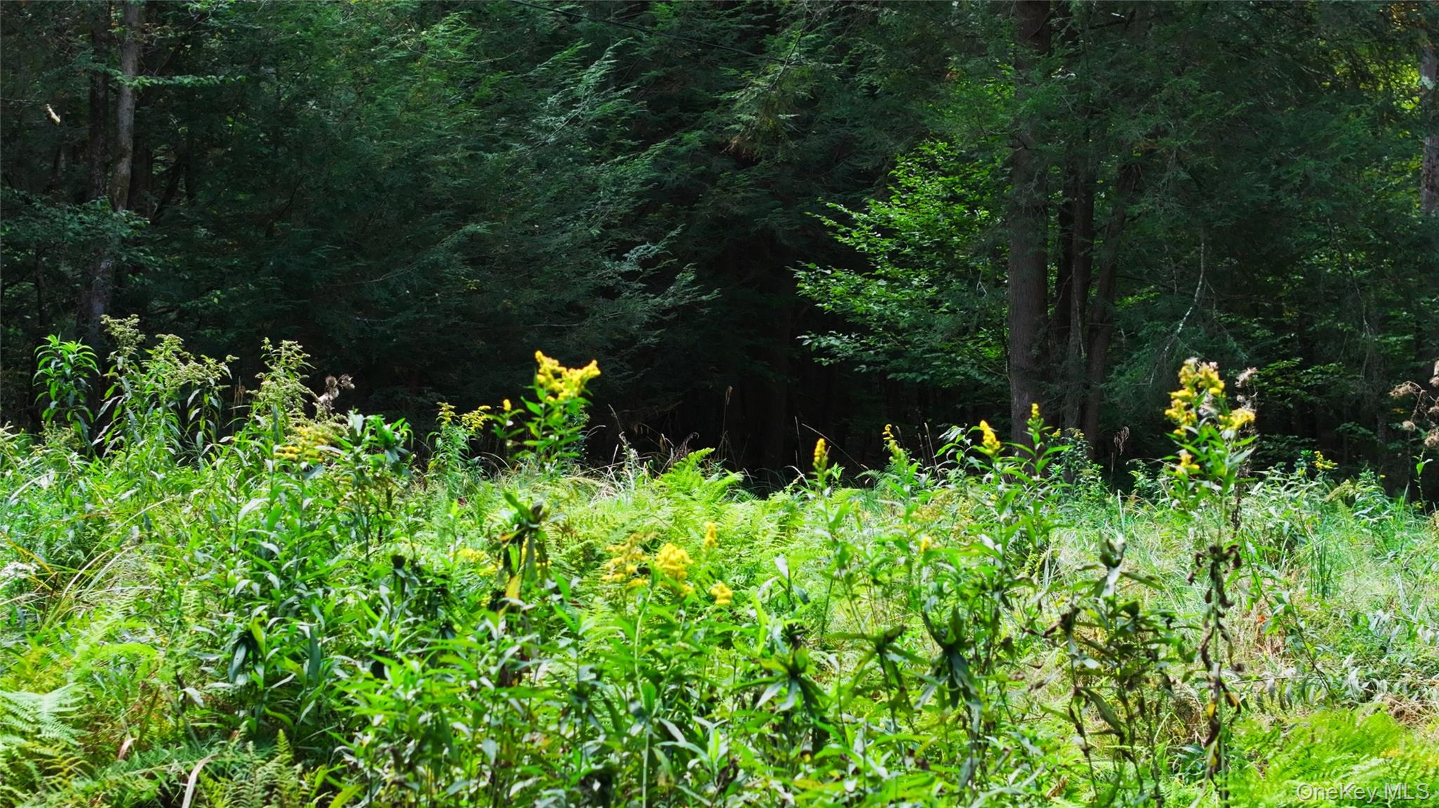 480 Breezy Hill Road, Middletown, NY 12768