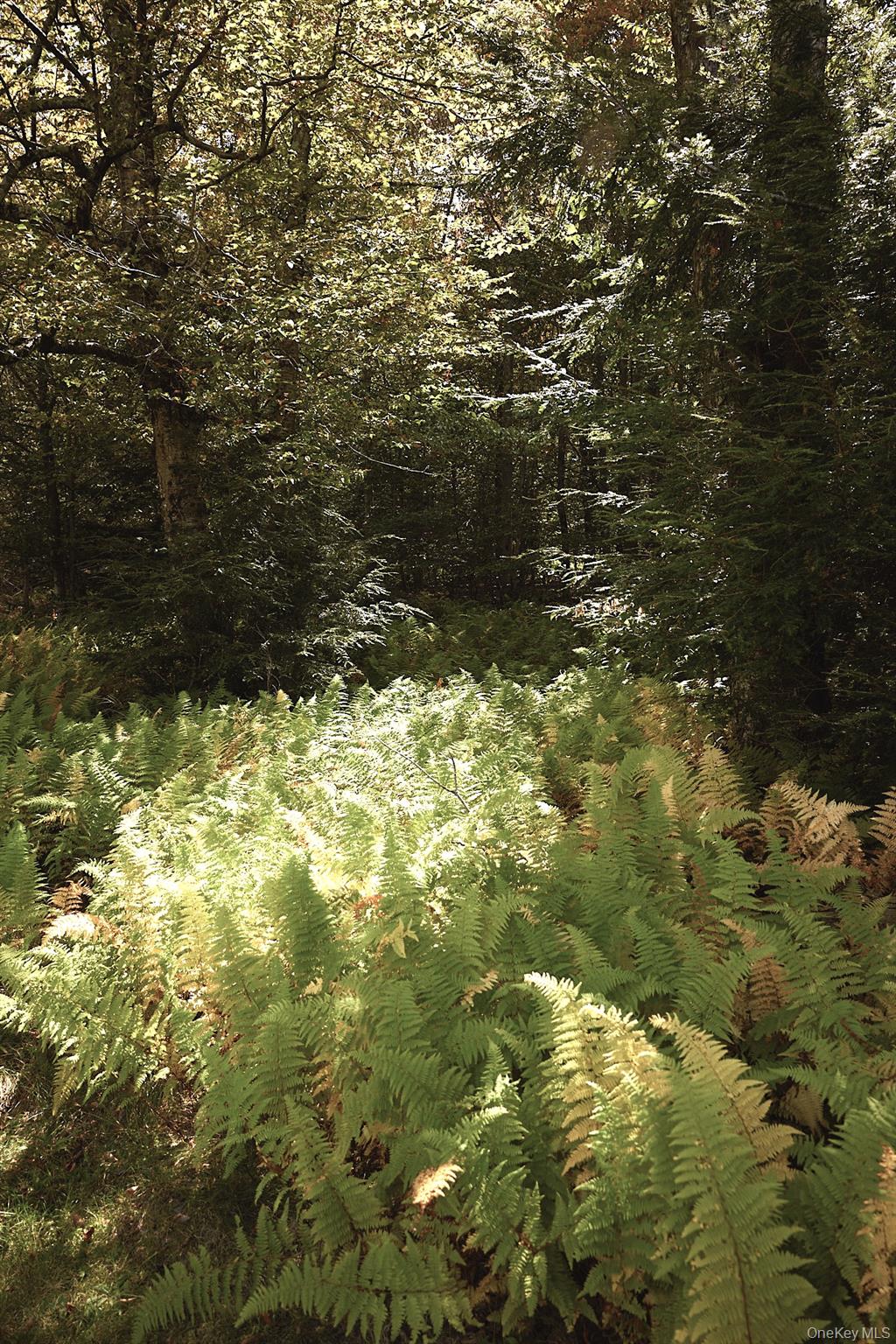 480 Breezy Hill Road, Middletown, NY 12768