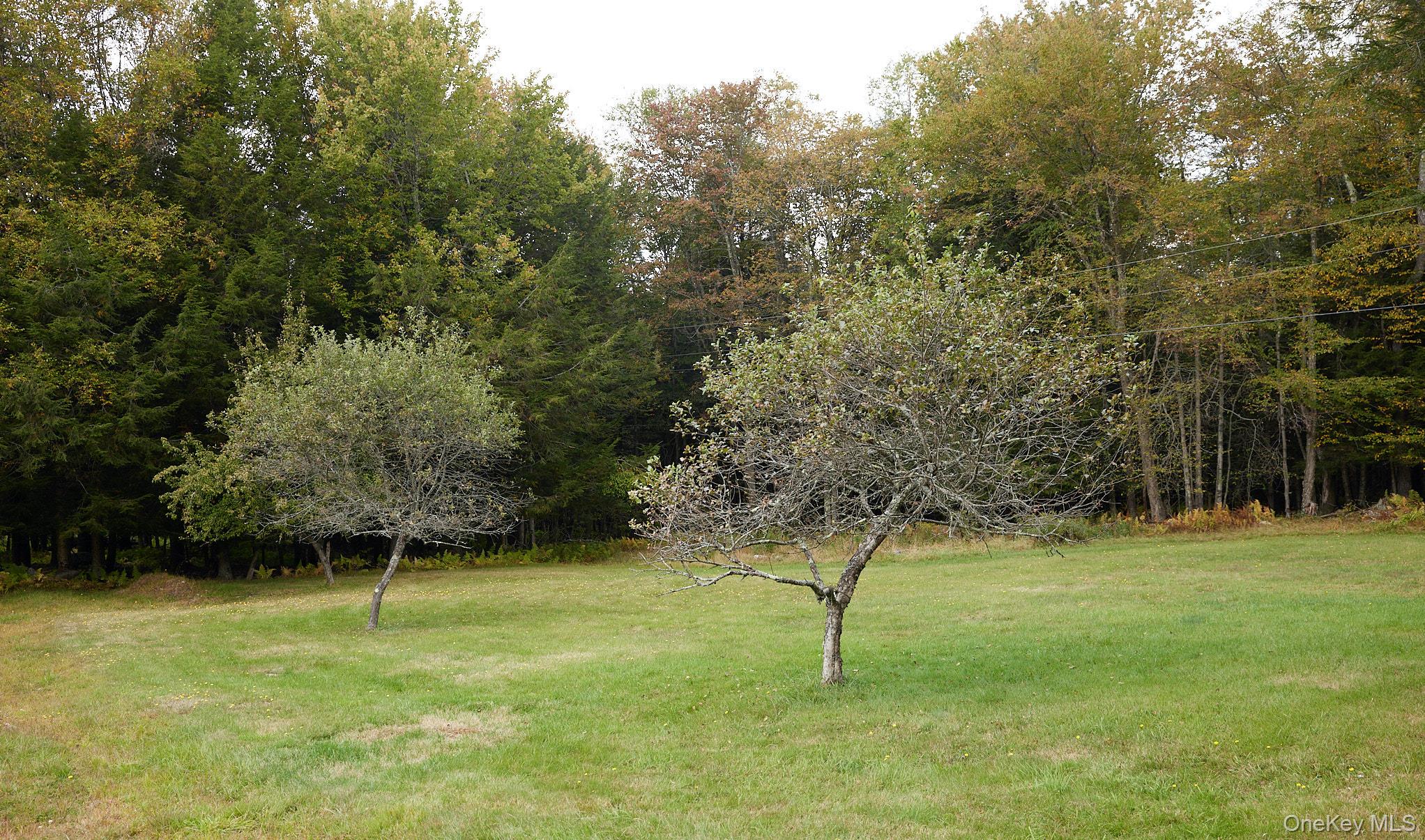 480 Breezy Hill Road, Middletown, NY 12768