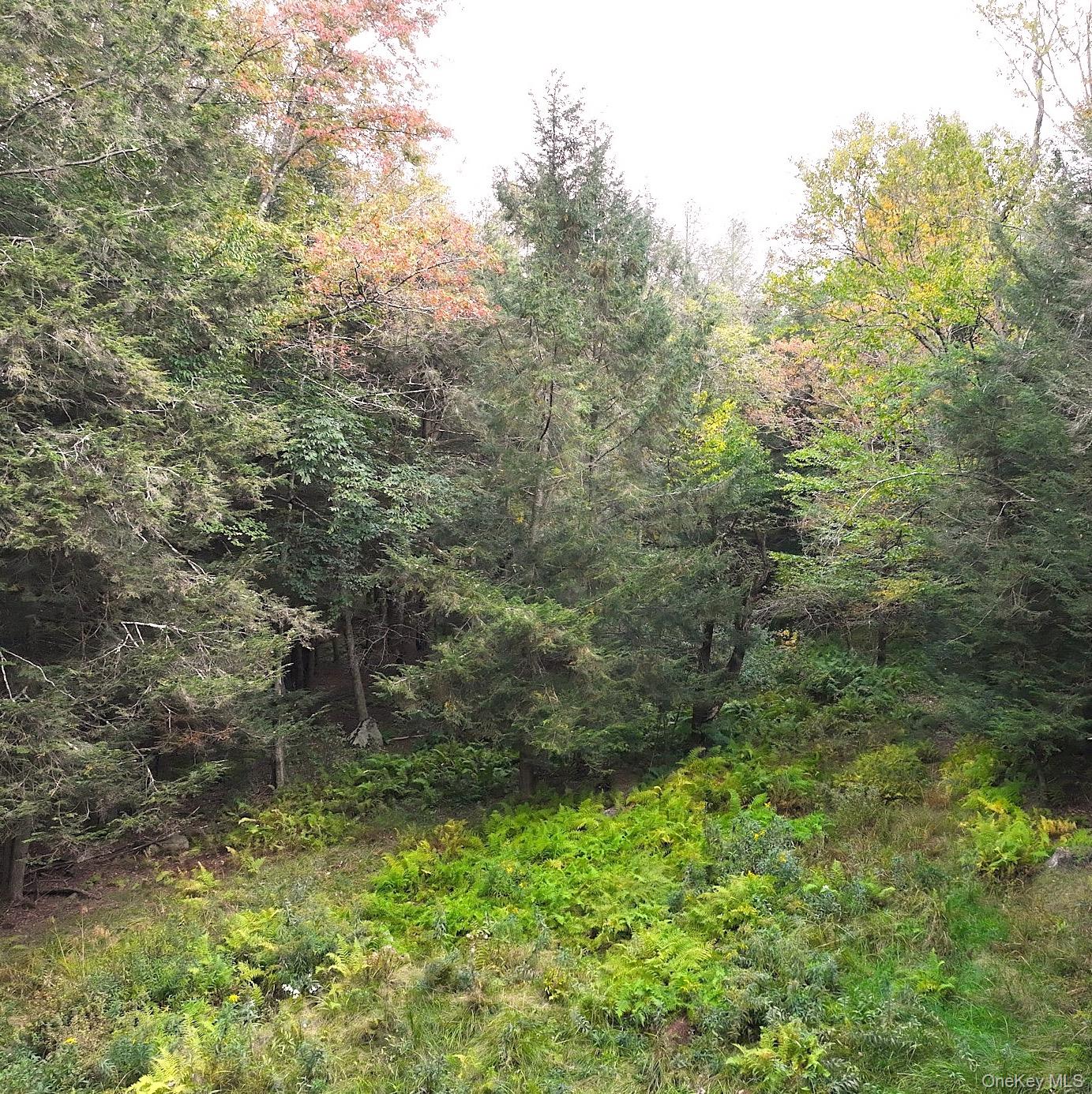 480 Breezy Hill Road, Middletown, NY 12768