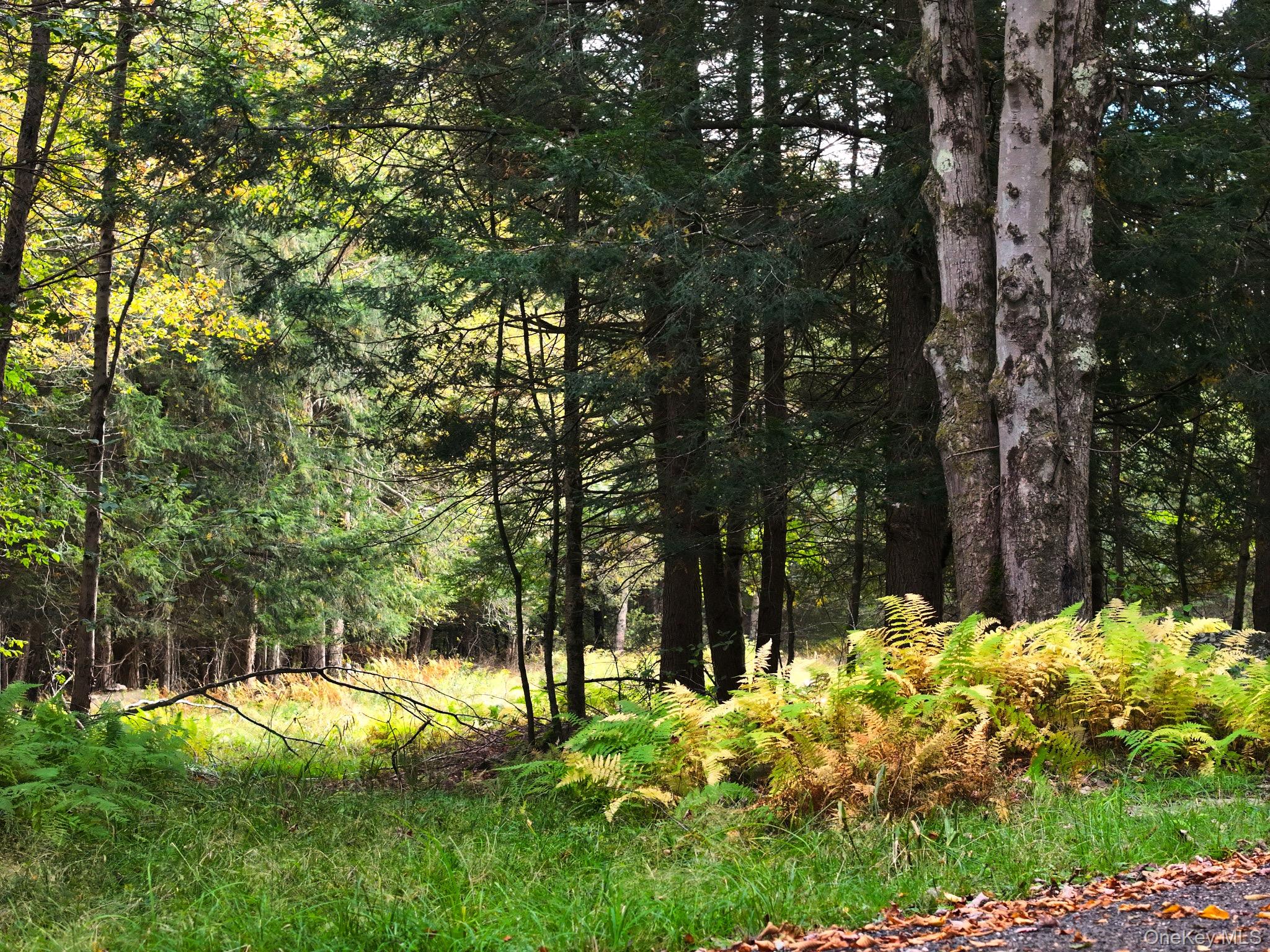 480 Breezy Hill Road, Middletown, NY 12768