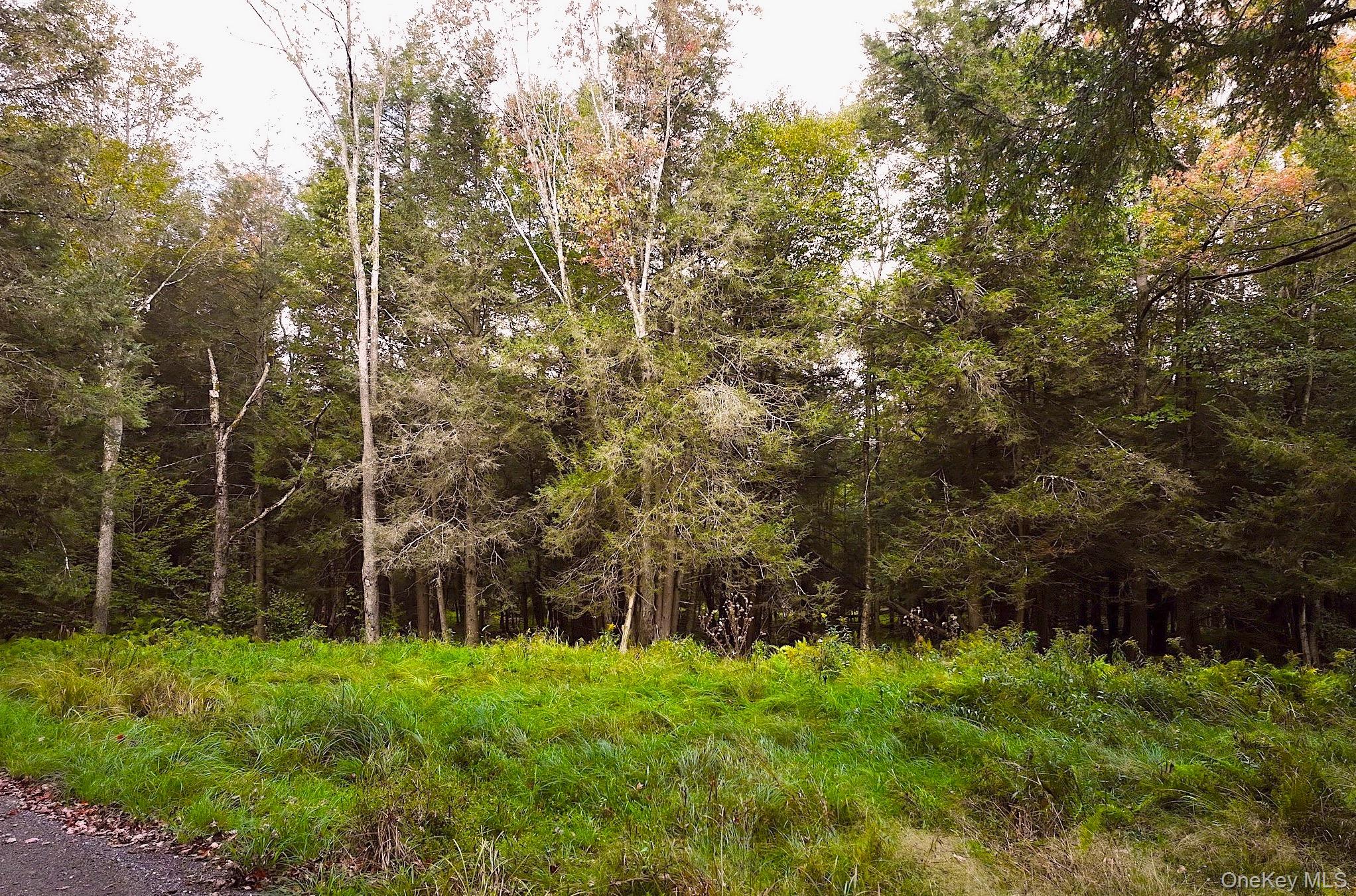 480 Breezy Hill Road, Middletown, NY 12768