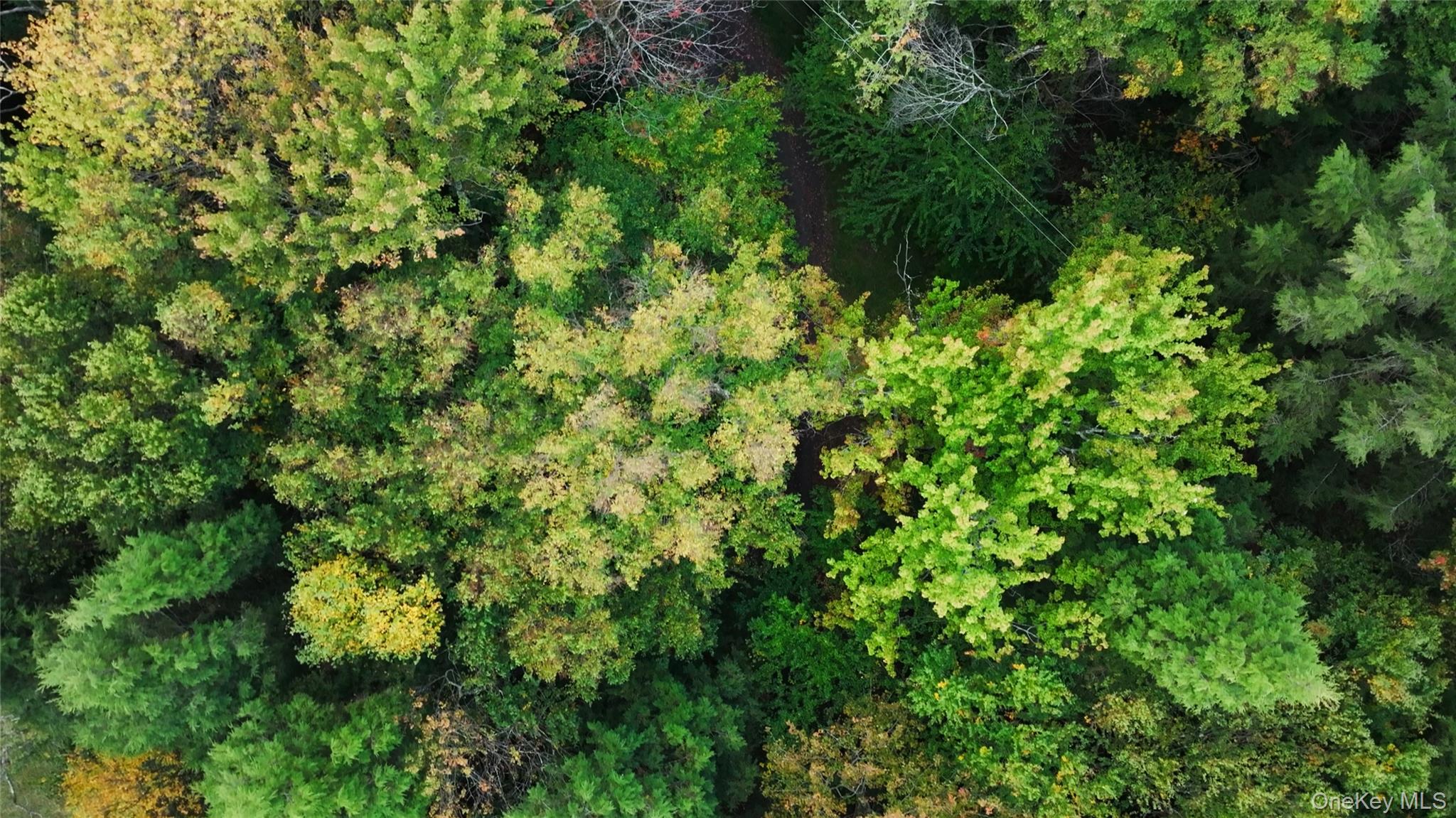 480 Breezy Hill Road, Middletown, NY 12768