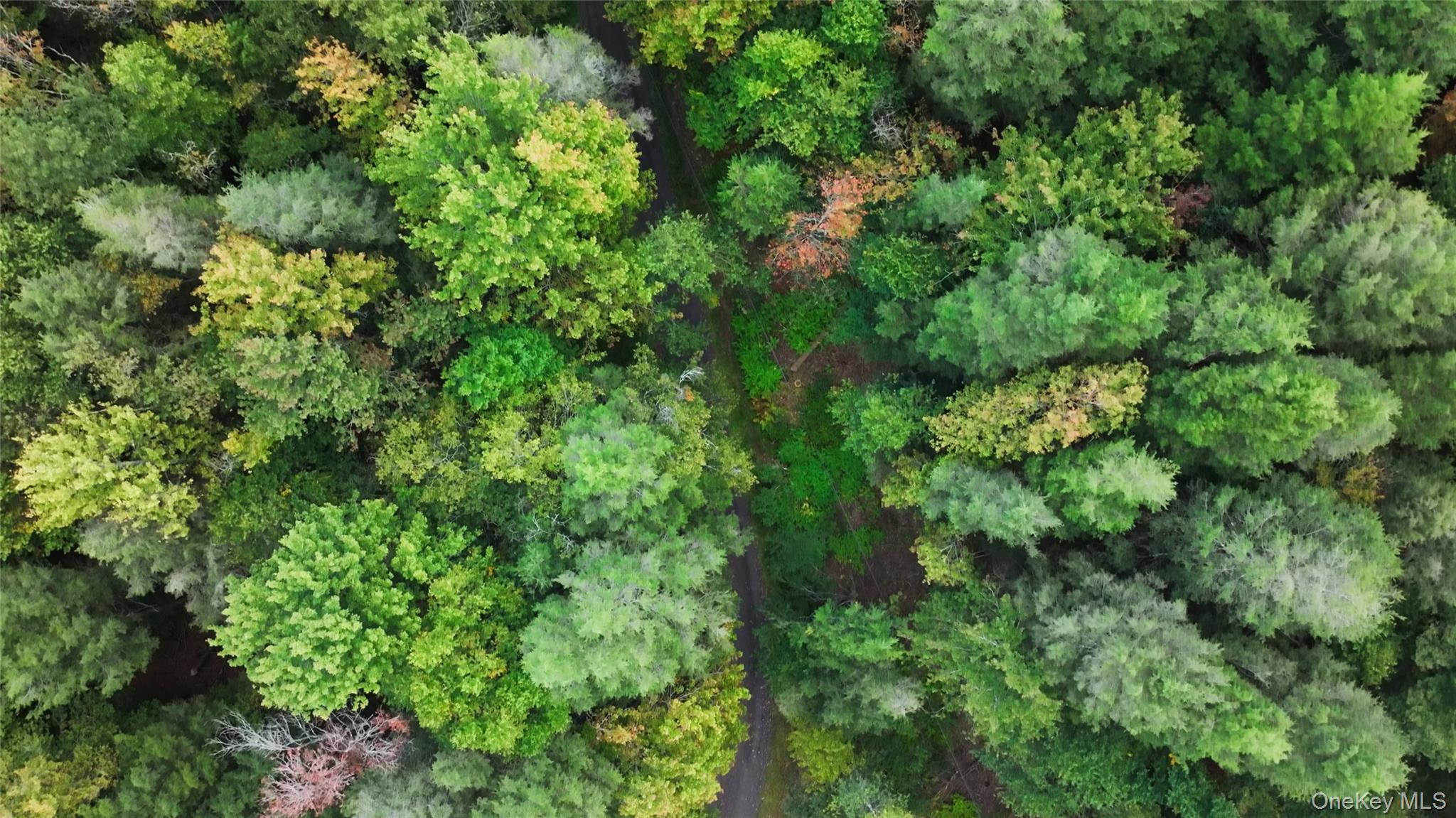 480 Breezy Hill Road, Middletown, NY 12768