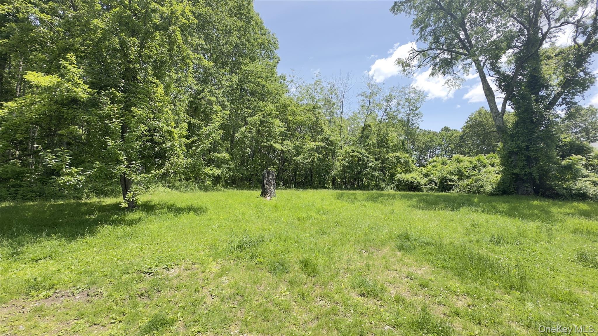 8 Marie Road # 2, Highland, NY 12528