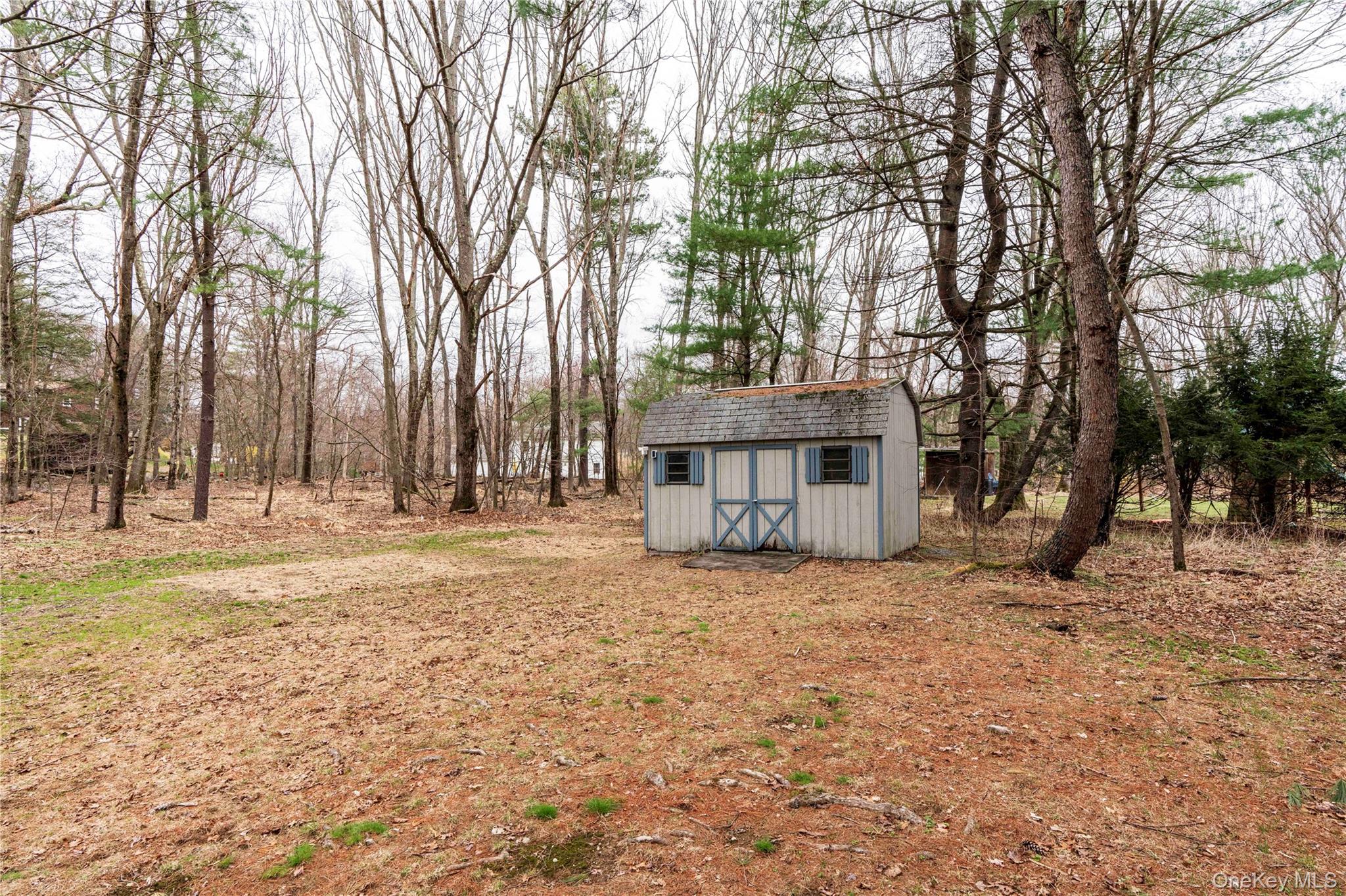 41 Frances Drive, Hopewell Junction, NY 12533