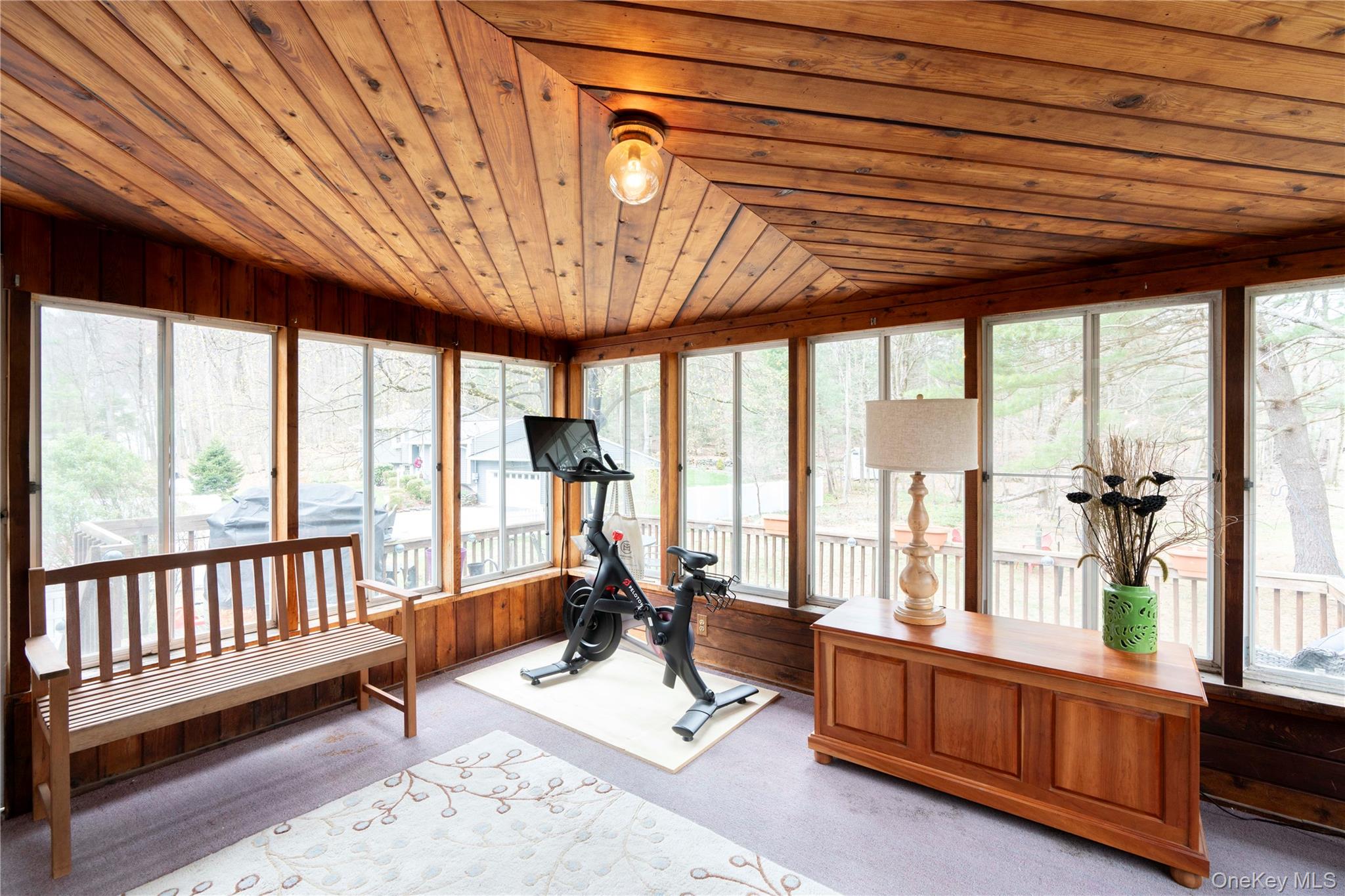 41 Frances Drive, Hopewell Junction, NY 12533