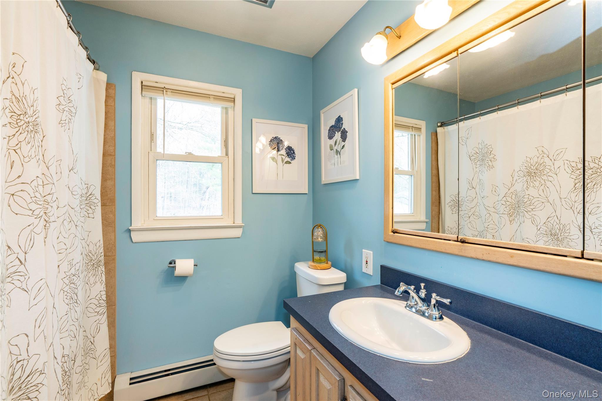 41 Frances Drive, Hopewell Junction, NY 12533