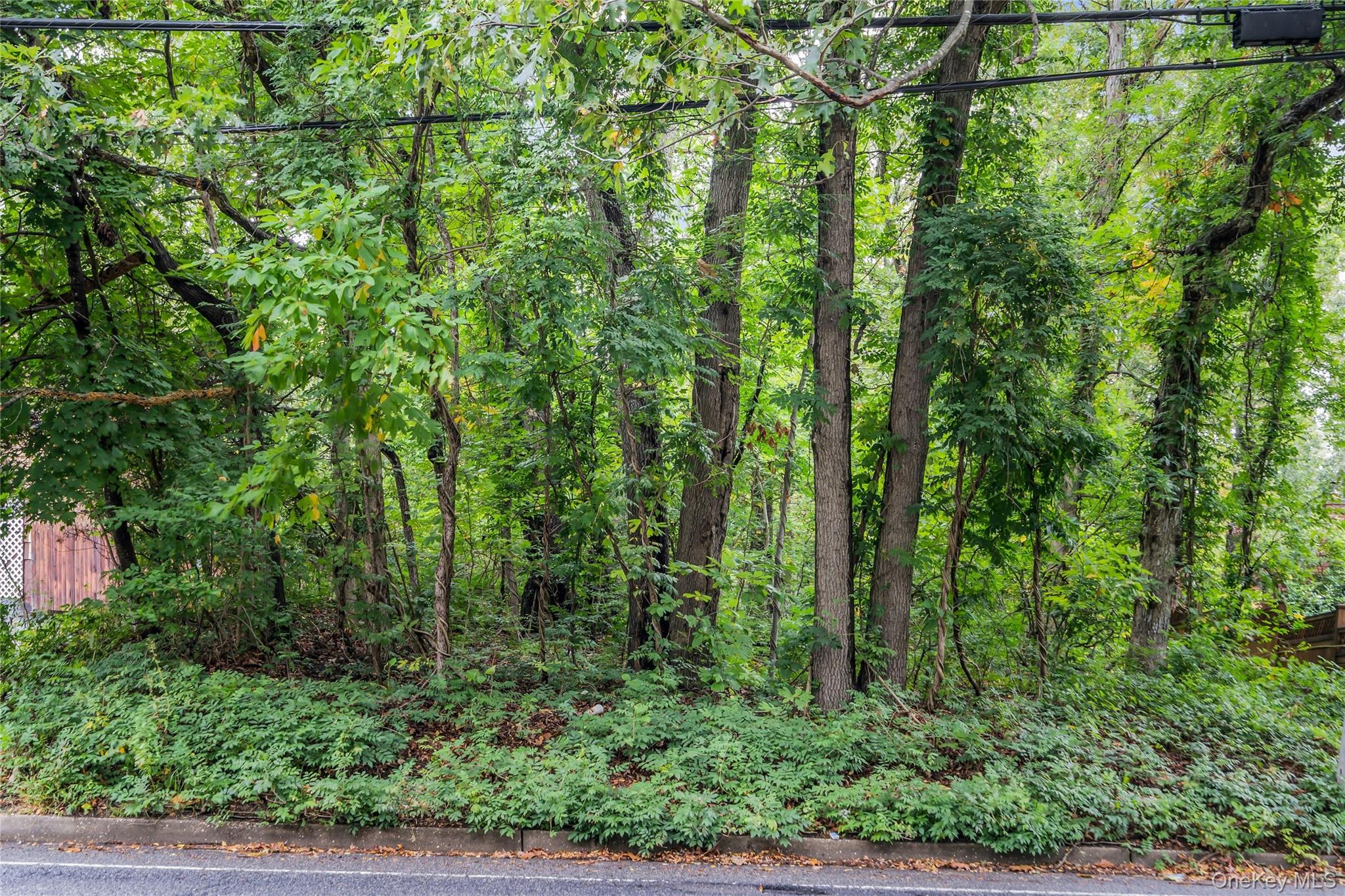 769 Meadow Road, Smithtown, NY 11787