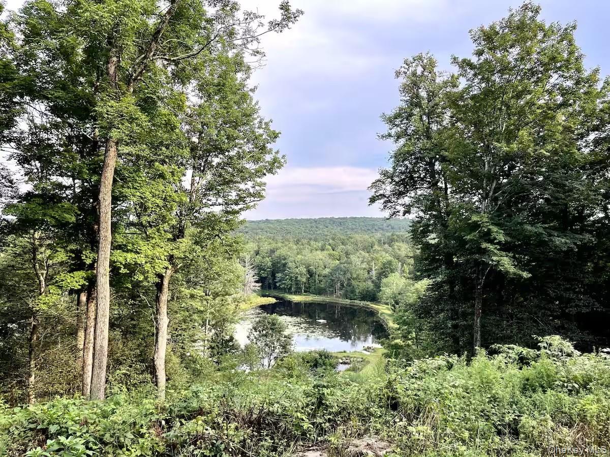 689 Church Road, Mountain Dale, NY 12763