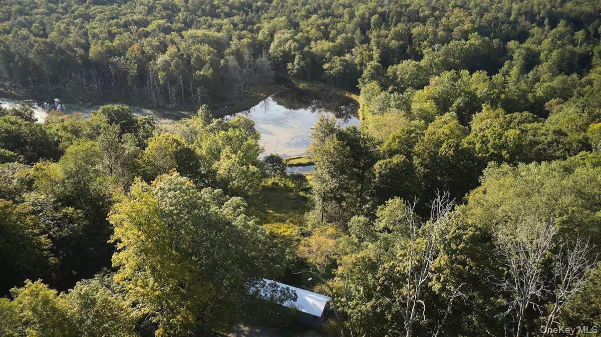 689 Church Road, Mountain Dale, NY 12763