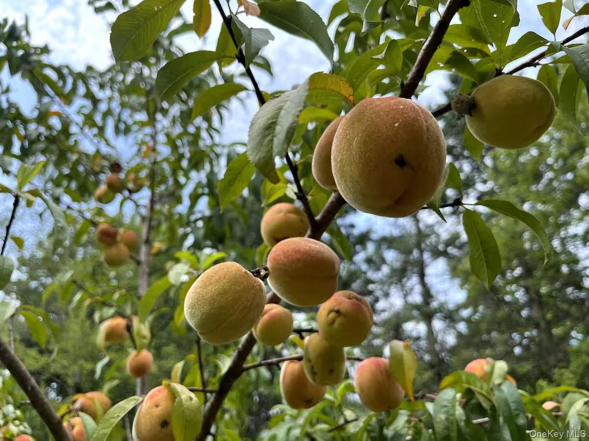 689 Church Road, Mountain Dale, NY 12763