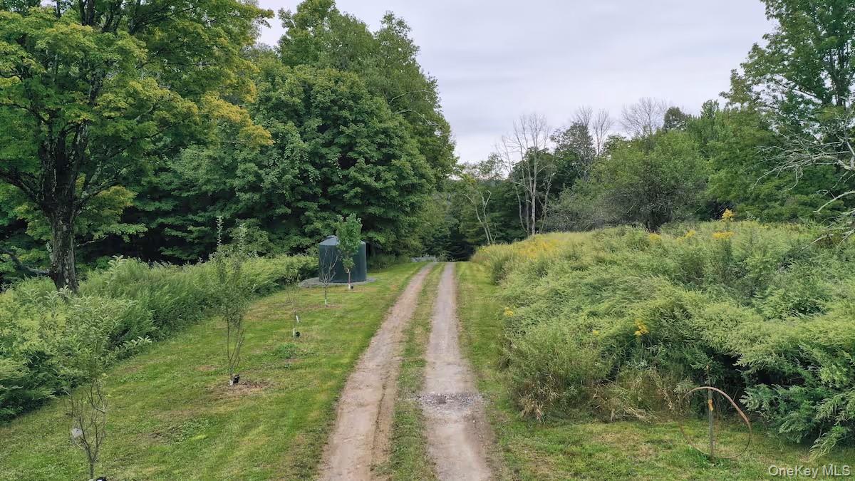 689 Church Road, Mountain Dale, NY 12763