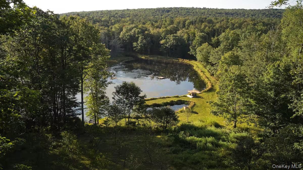 689 Church Road, Mountain Dale, NY 12763