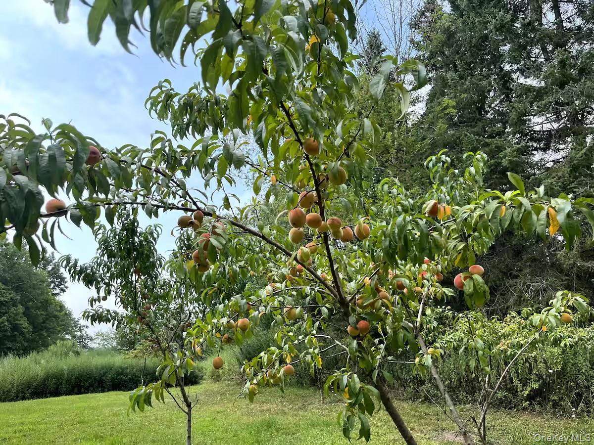 689 Church Road, Mountain Dale, NY 12763