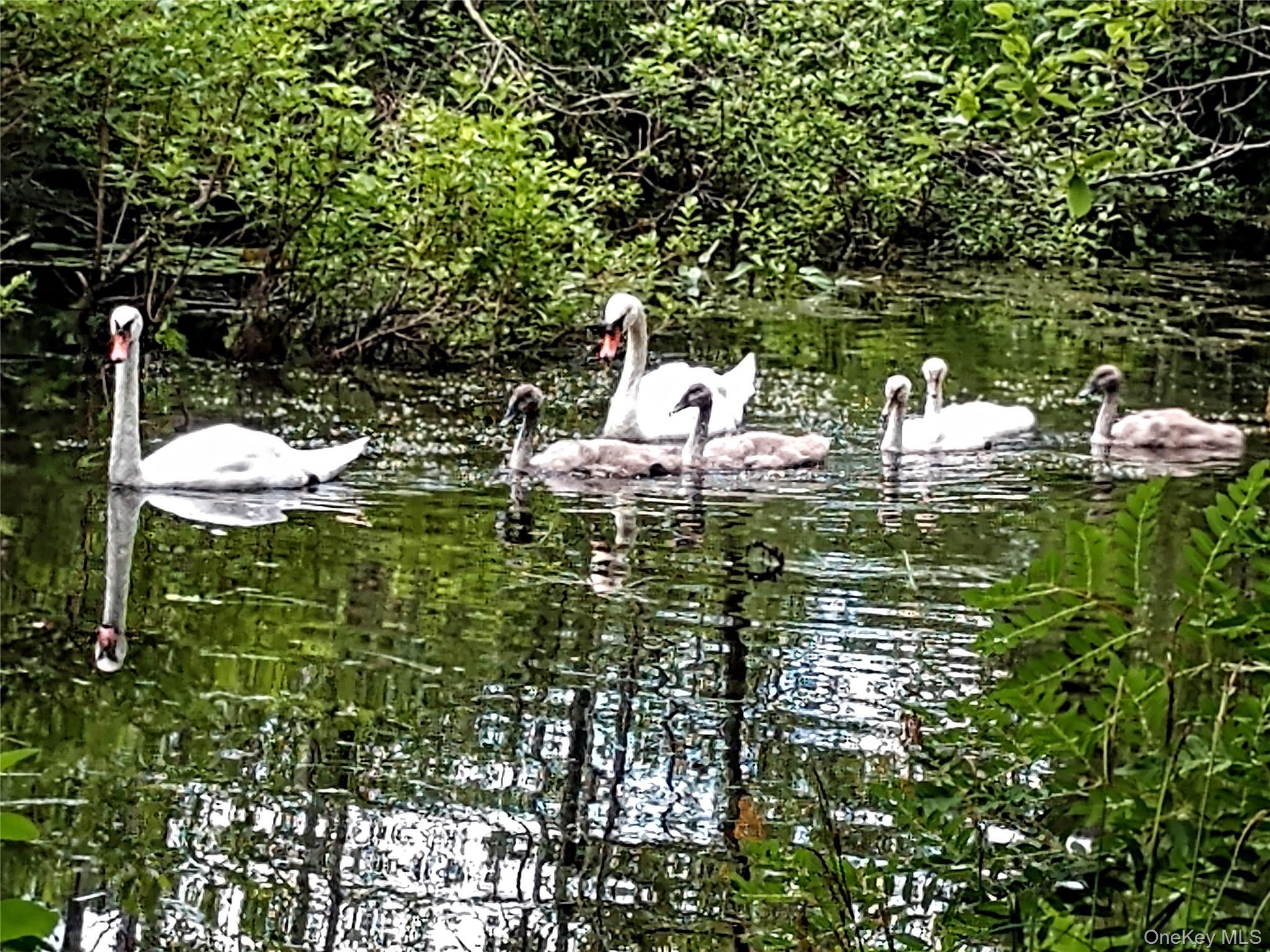 93 Cross Pond Road, Pound Ridge, NY 10576