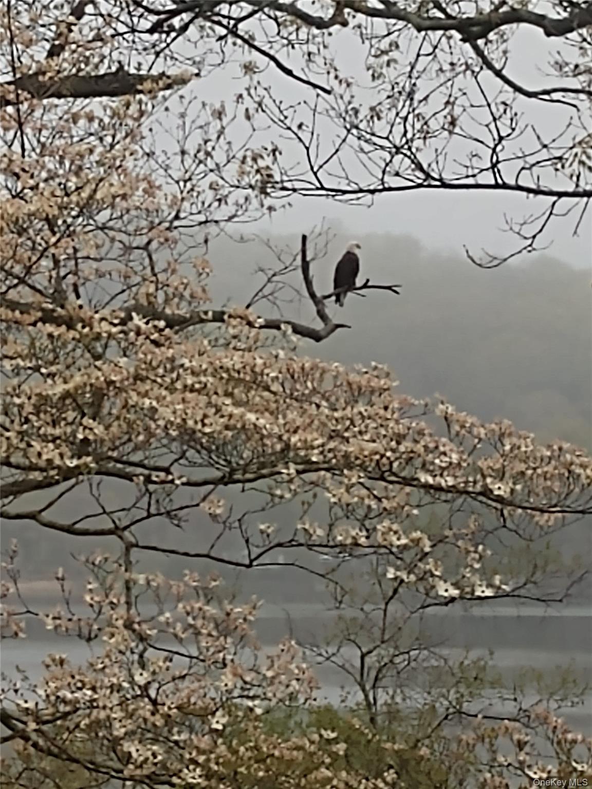 93 Cross Pond Road, Pound Ridge, NY 10576