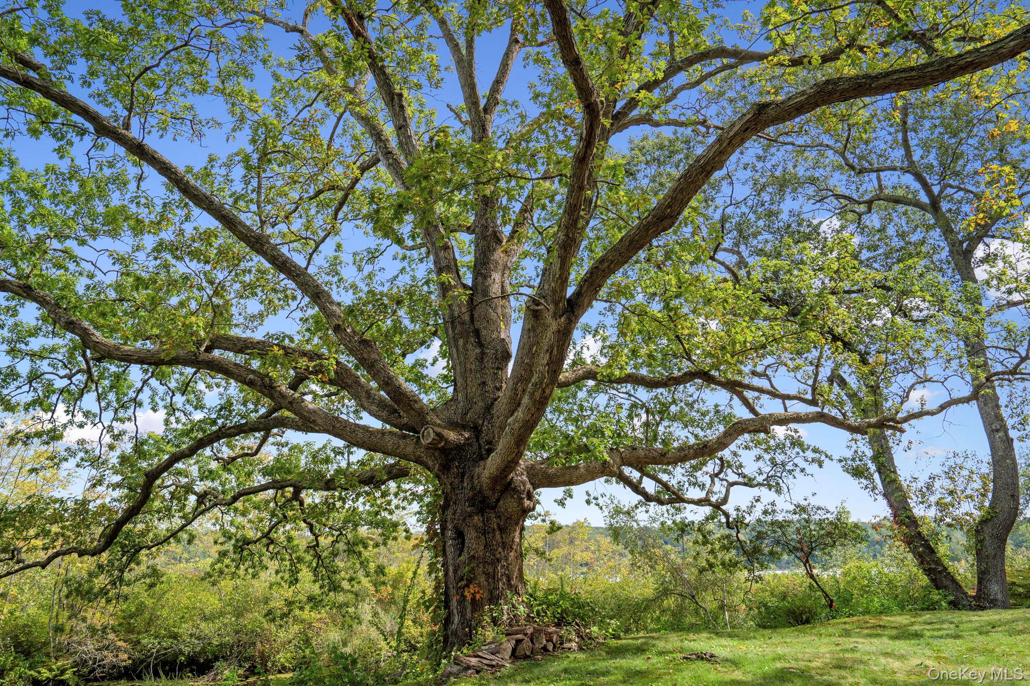 93 Cross Pond Road, Pound Ridge, NY 10576