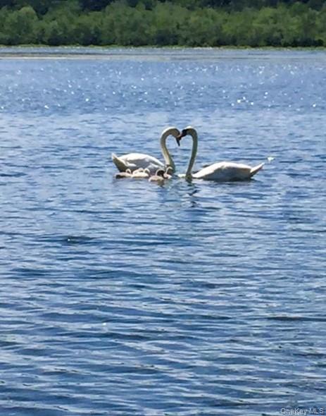 93 Cross Pond Road, Pound Ridge, NY 10576