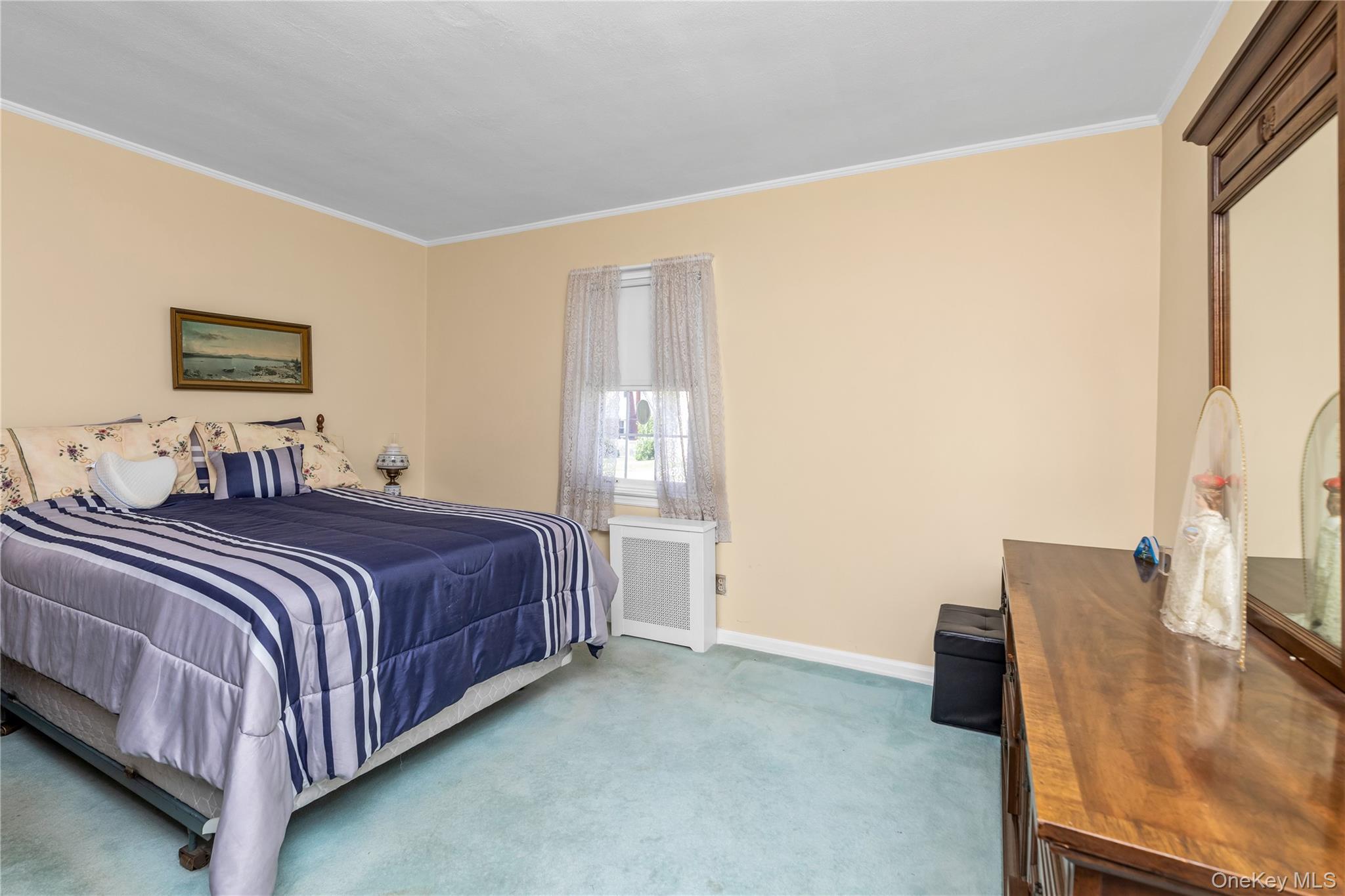 107 Aster Drive, New Hyde Park, NY 11040