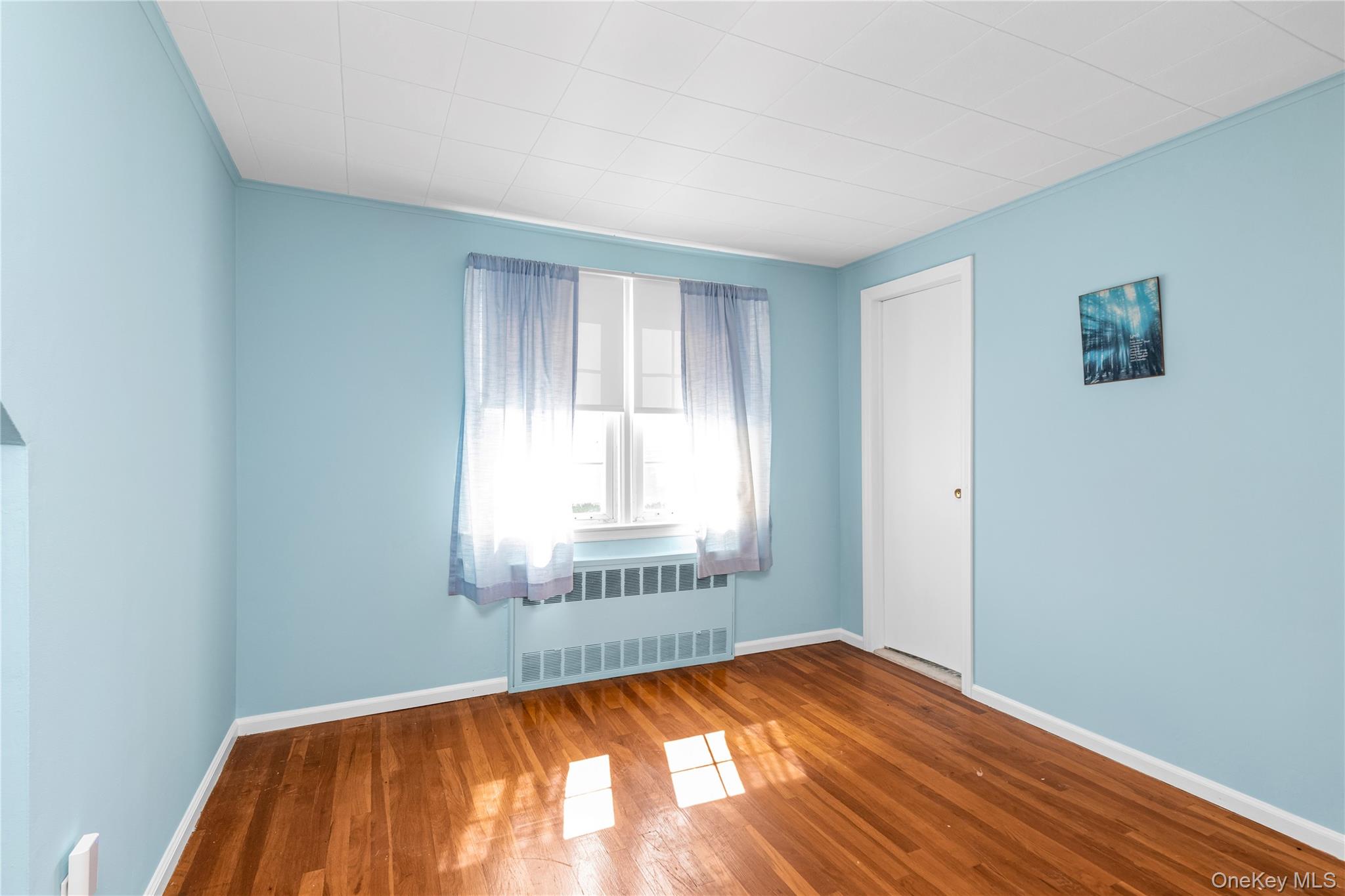 107 Aster Drive, New Hyde Park, NY 11040