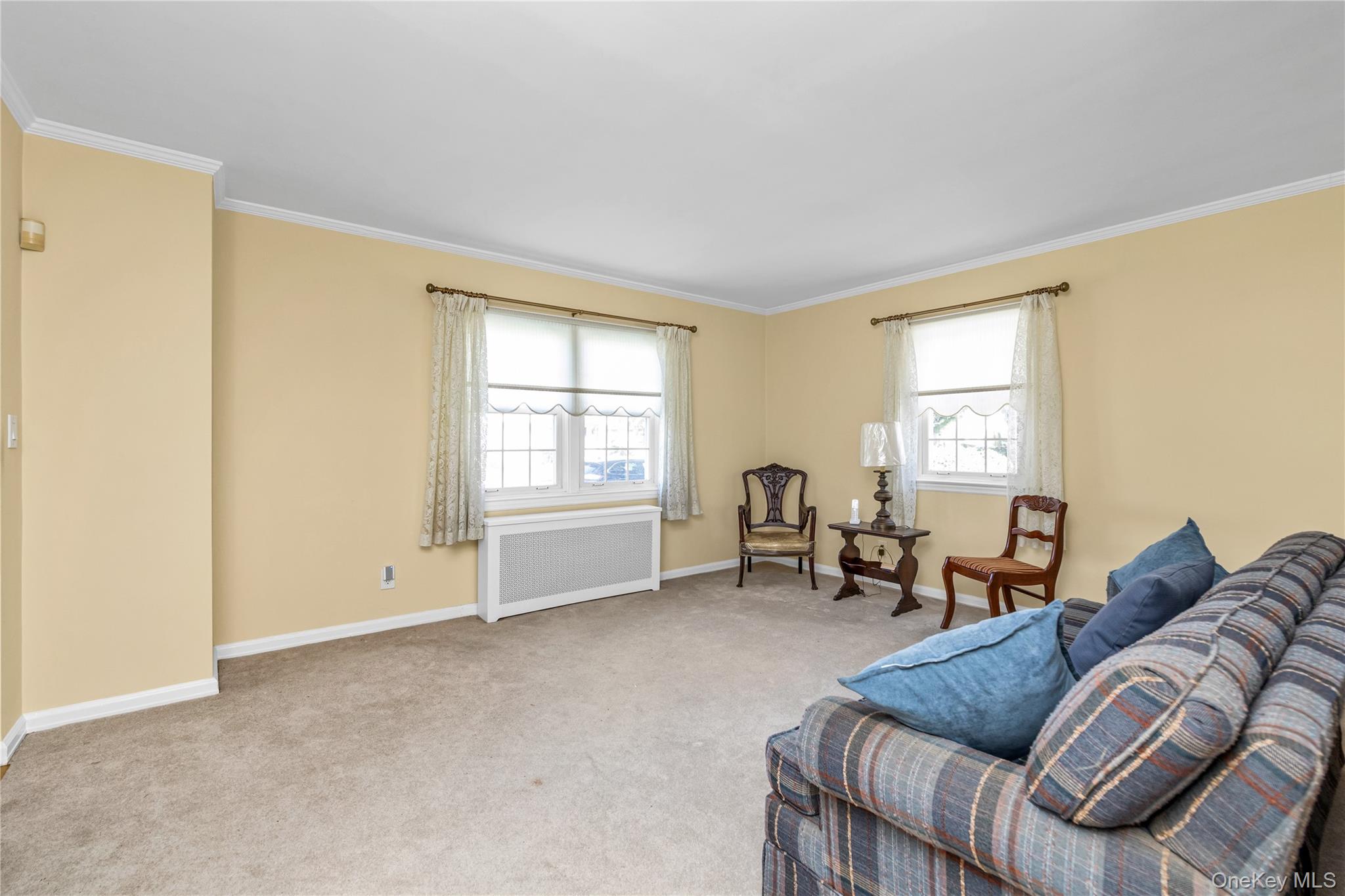 107 Aster Drive, New Hyde Park, NY 11040